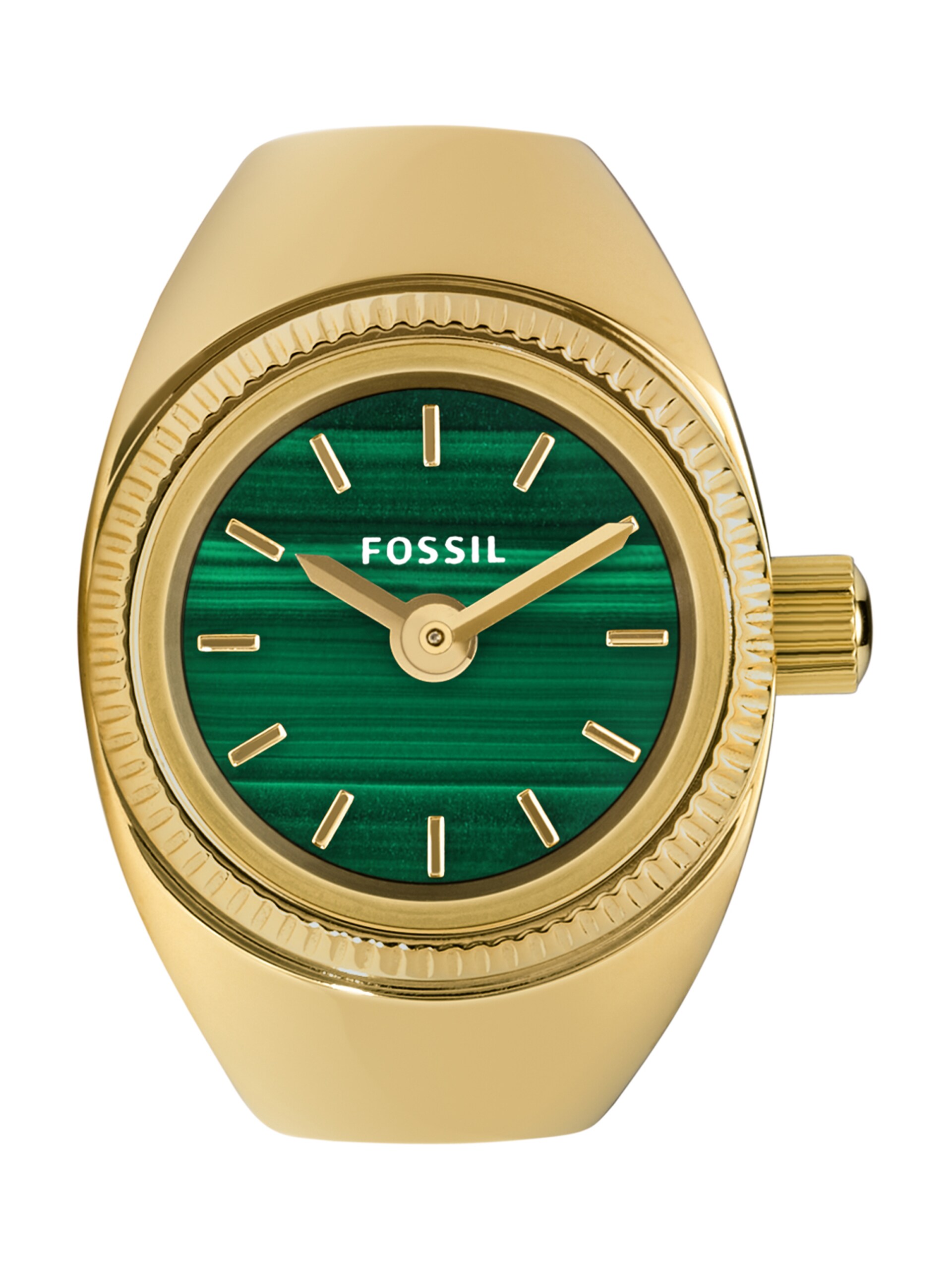 FOSSIL Ring dam