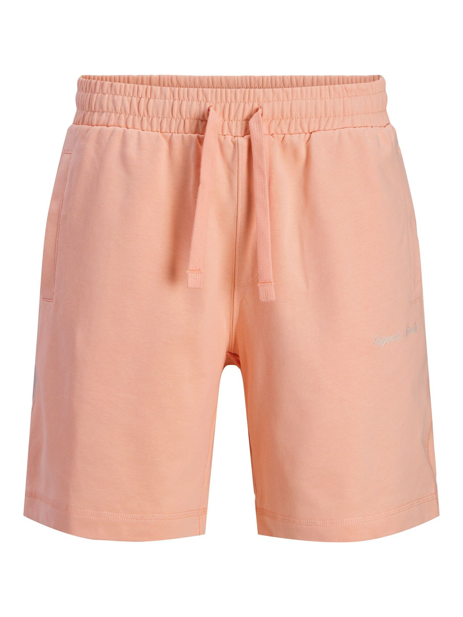 Jack & Jones Shorts JPSTKarl Norrebro