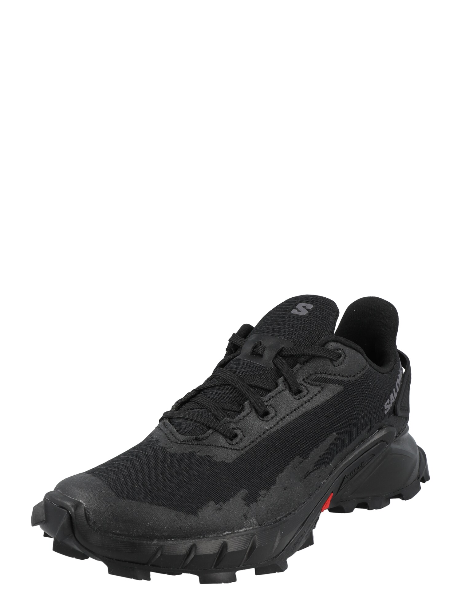 SALOMON Sportiniai batai 'ALPHACROSS 4' juoda