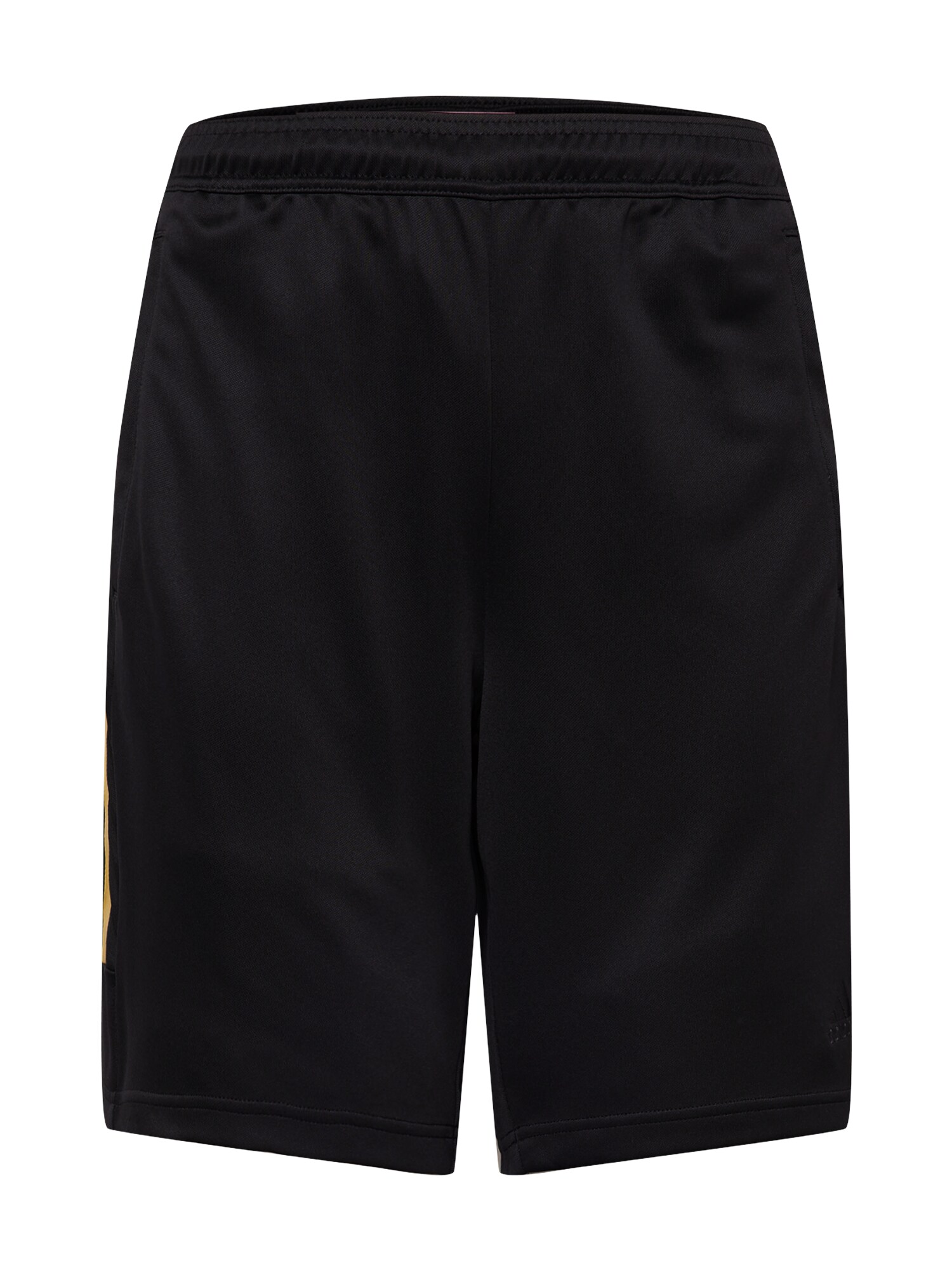 ADIDAS SPORTSWEAR Športne hlače 'Tiro Wordmark'  zlata / črna