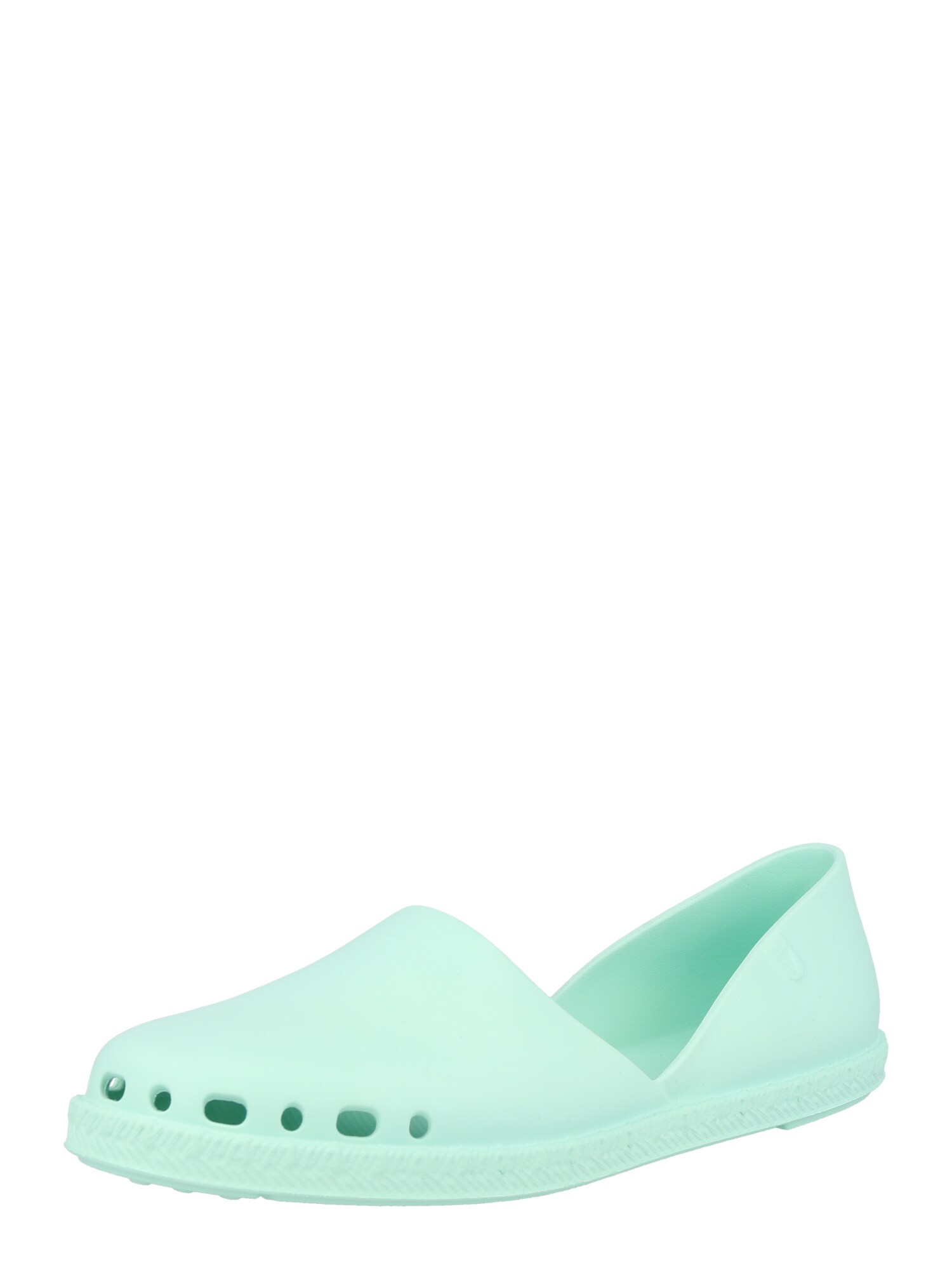 VERBENAS Balerinos 'CARMEN AQUA' vandens spalva