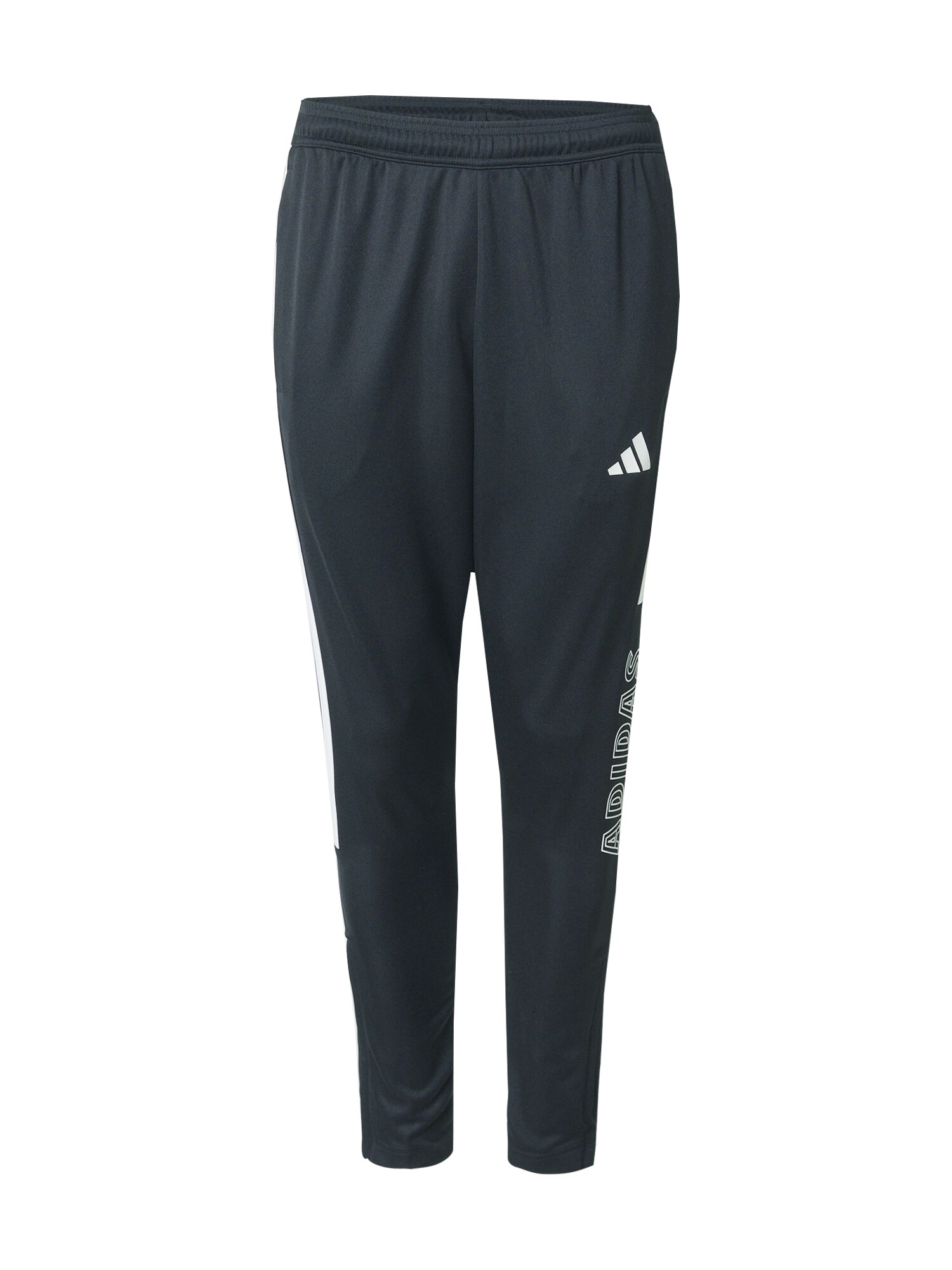 ADIDAS SPORTSWEAR Pantaloni sport TIRO  negru / alb