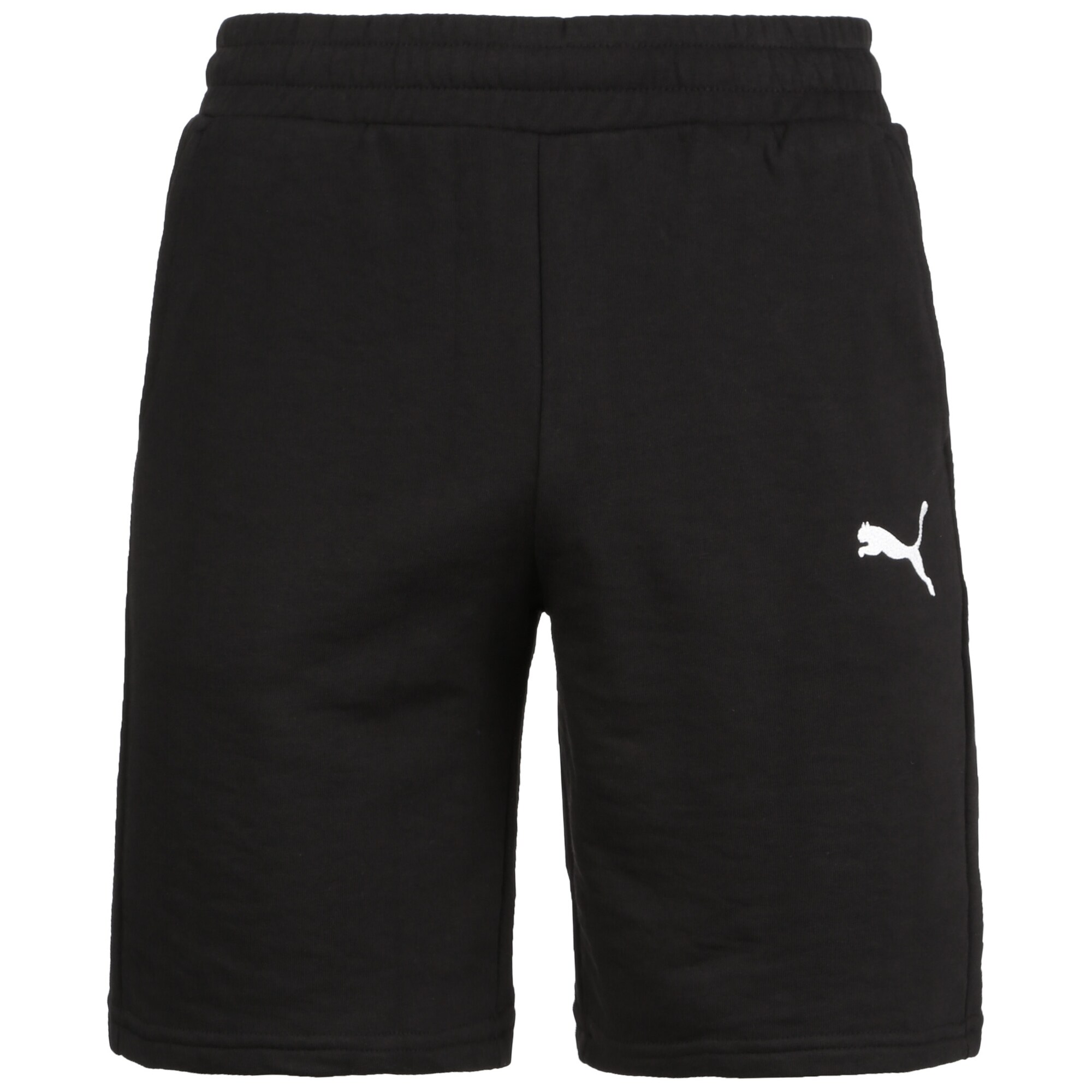 Puma Sportshorts Team Goal 23