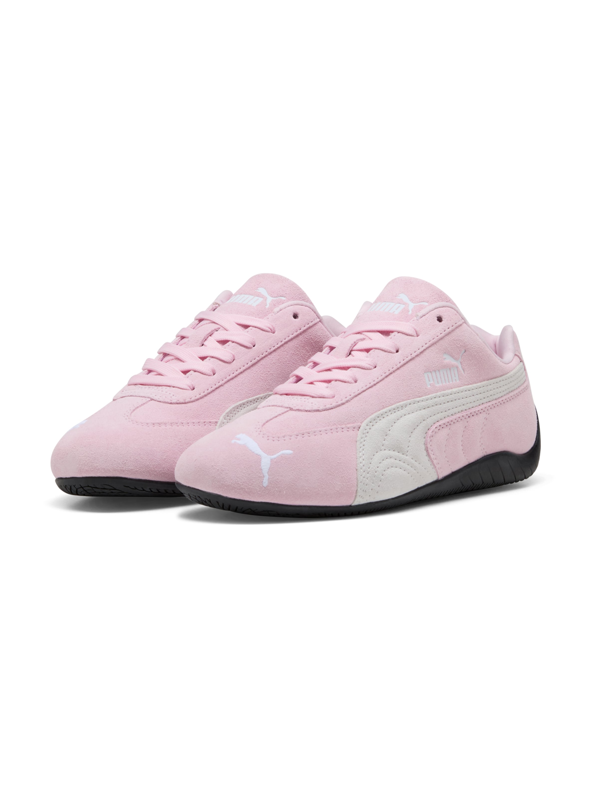 Sneaker Speedcat