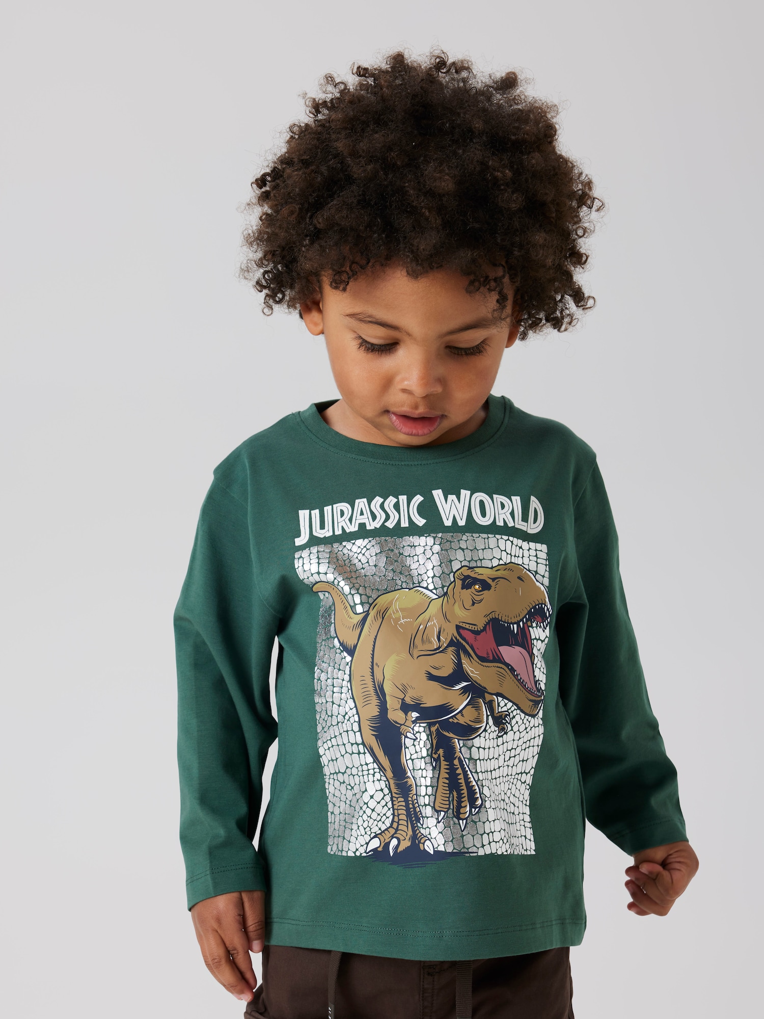 Thumbnail - NAME IT Shirt NMMJurassic World
