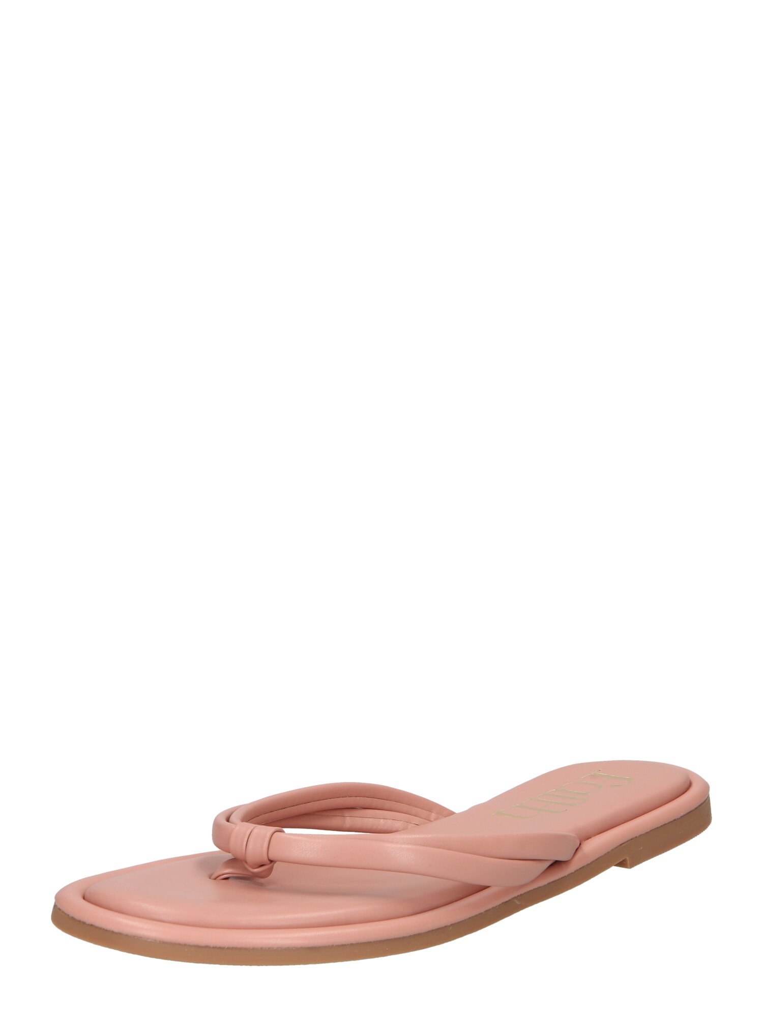 Dorothy Perkins Žabky  púdrová