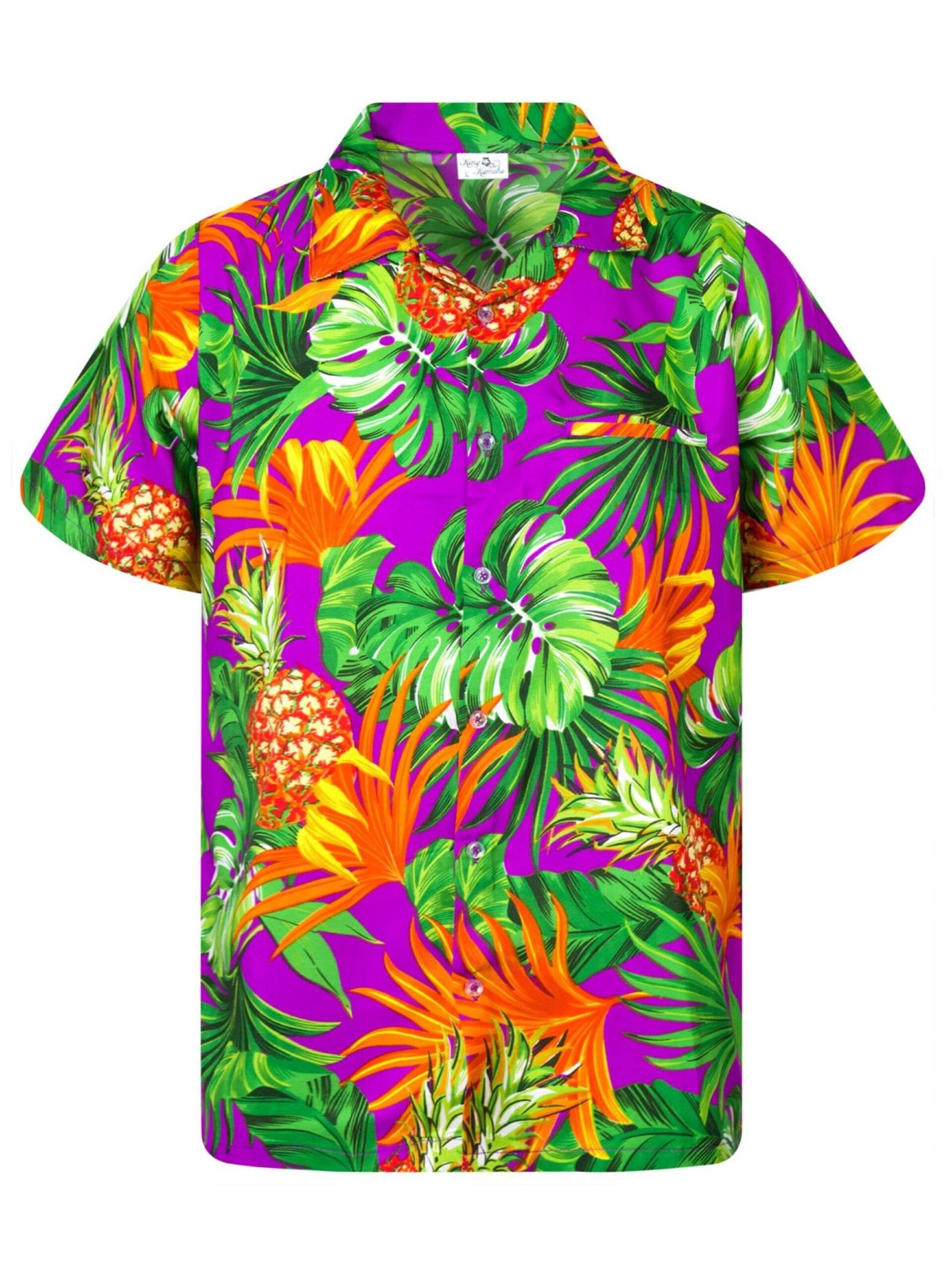 King Kameha T-shirt 'Pineapple Leaves' herr