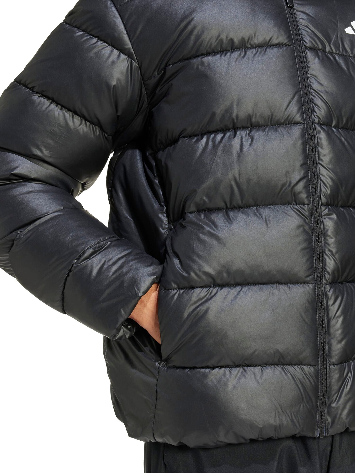 ADIDAS SPORTSWEAR Športová bunda 'Essentials' čierna / biela (obrázok 4)