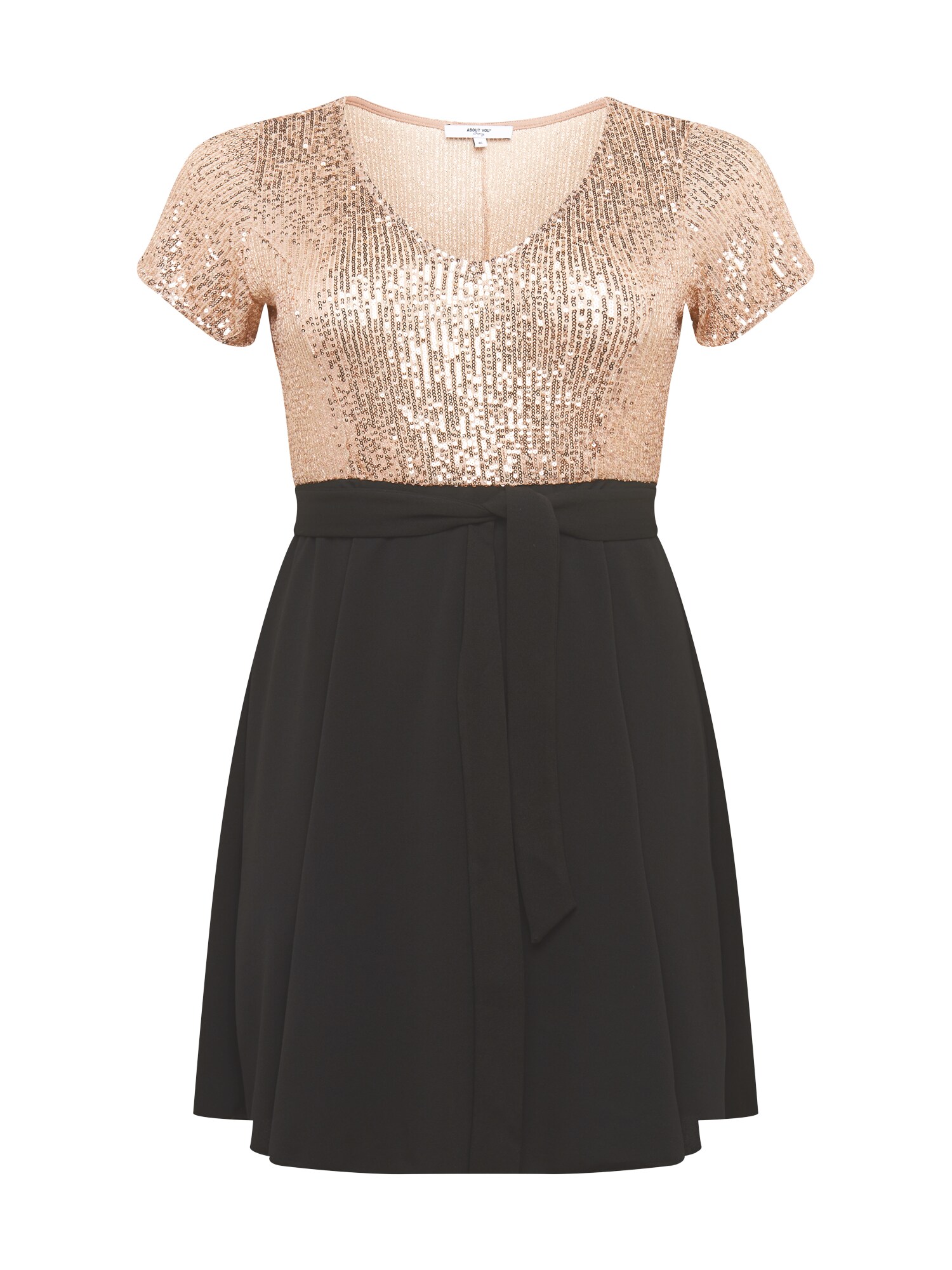ABOUT YOU Curvy Kokteilinė suknelė 'Mary Dress'  juoda / rožių spalva