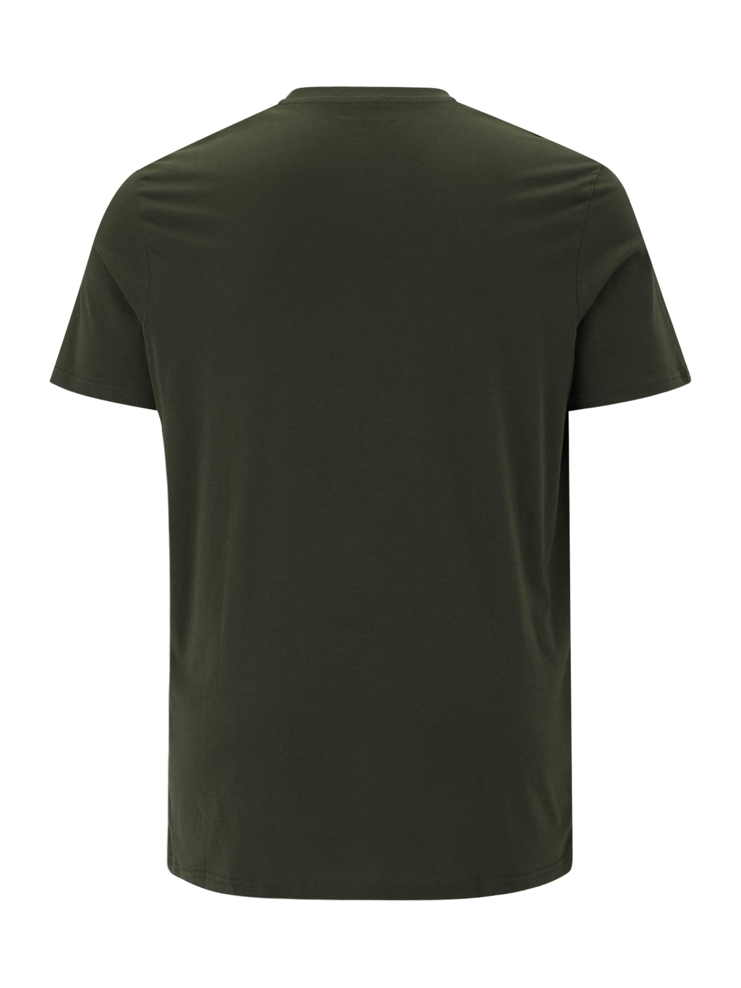 Jack & Jones Plus Tričko 'JJESTAR' tmavozelená / biela (obrázok 3)