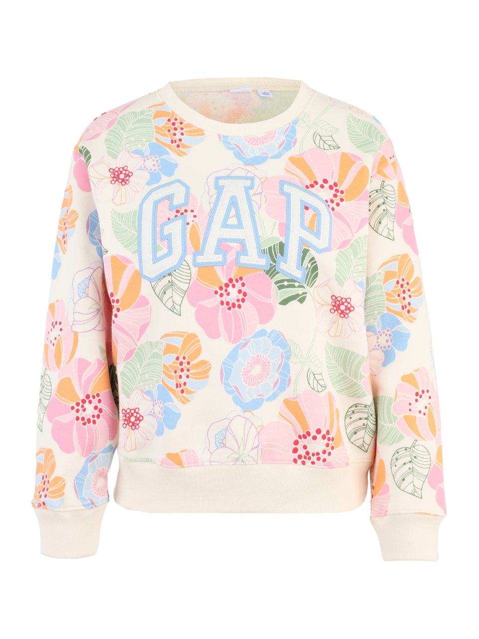 Sweatshirt 'HERITAGE' ljusblå / grön / rosa