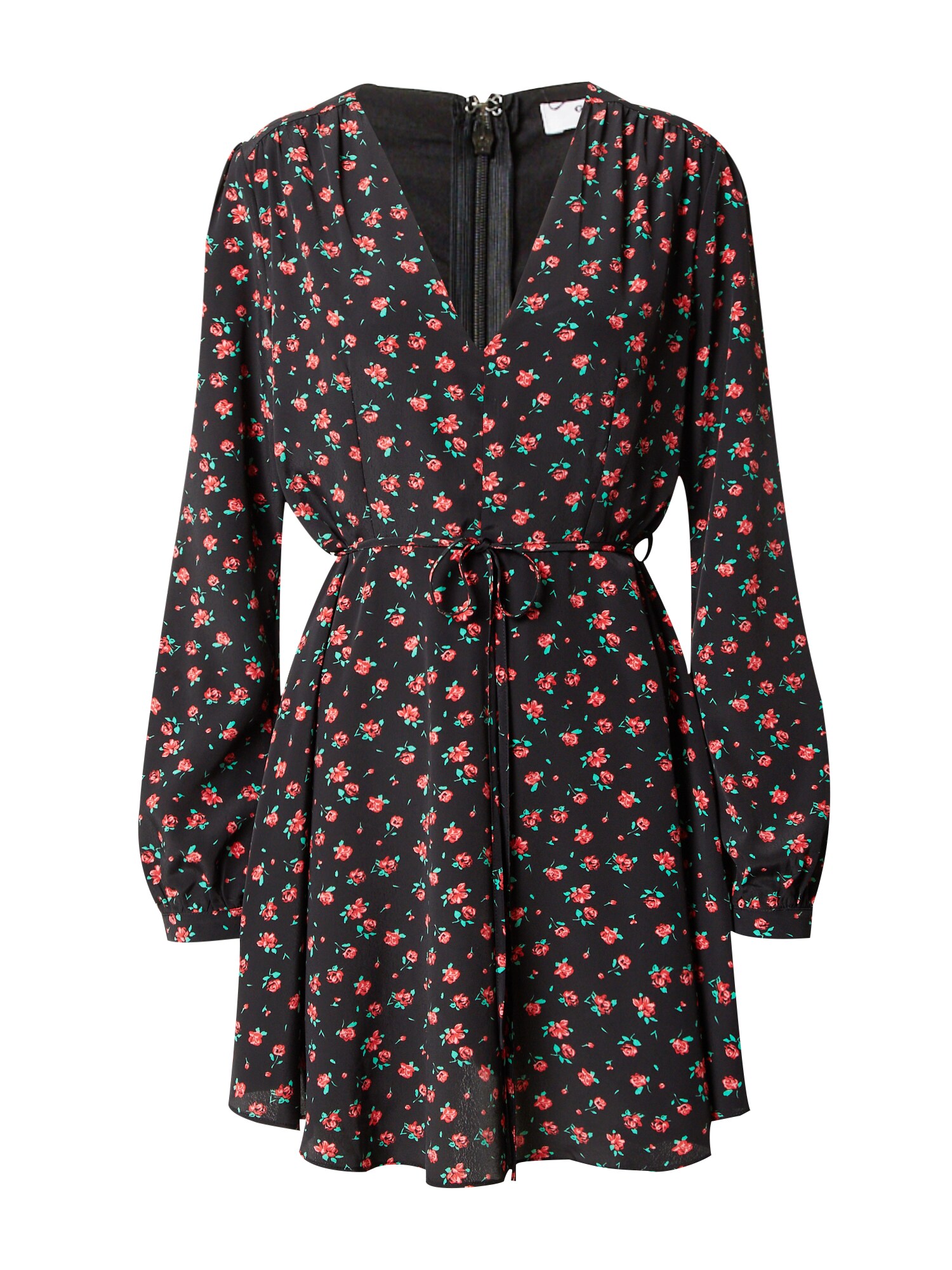 GLAMOROUS Rochie  verde / roșu / negru