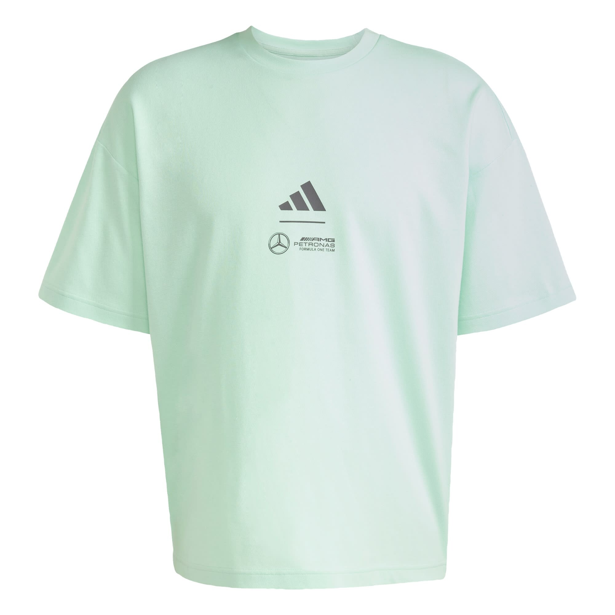 ADIDAS PERFORMANCE Camiseta funcional 'Mercedes - AMG Petronas Formula One Team Premium'  gris / menta