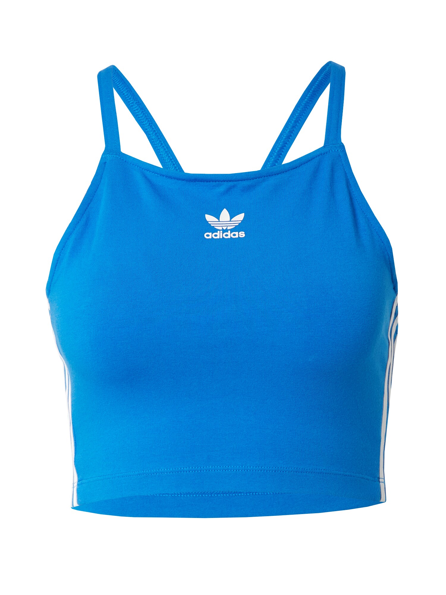 ADIDAS ORIGINALS Top 'Adicolor'  neónovo modrá / biela