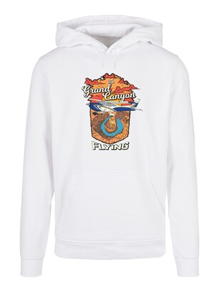 F4NT4STIC Sweatshirt ‘Grand Canyon Flying’ Gemengde kleuren / Wit