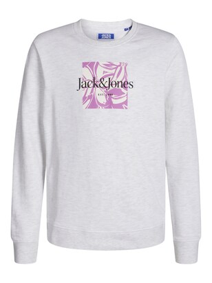 Jack & Jones Junior Sweatshirt ‘Lafayette’ Grijs gemêleerd / Gemengde kleuren