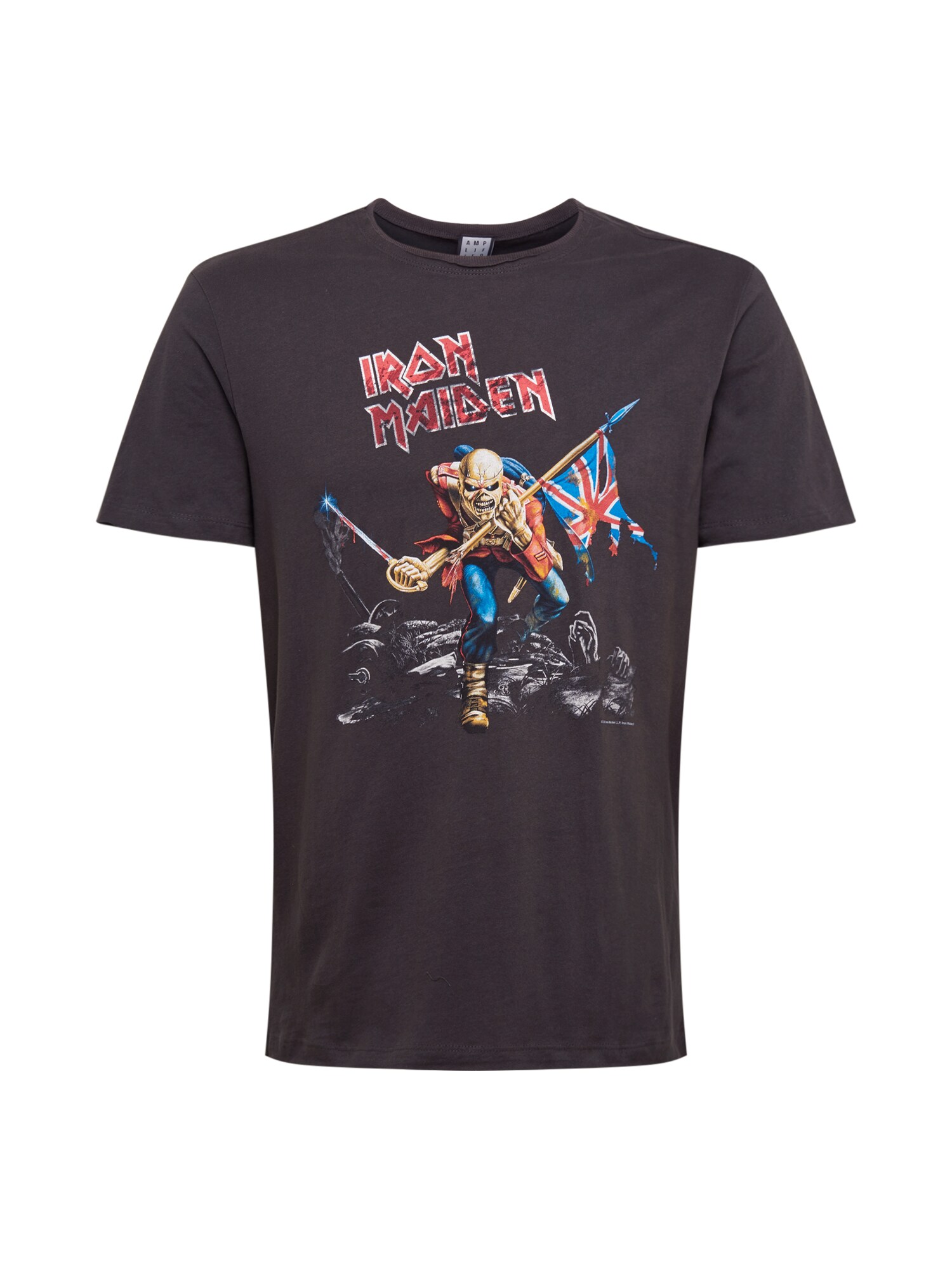 AMPLIFIED Marškinėliai 'Iron Maiden 80s Tour'  tamsiai pilka / mišrios spalvos