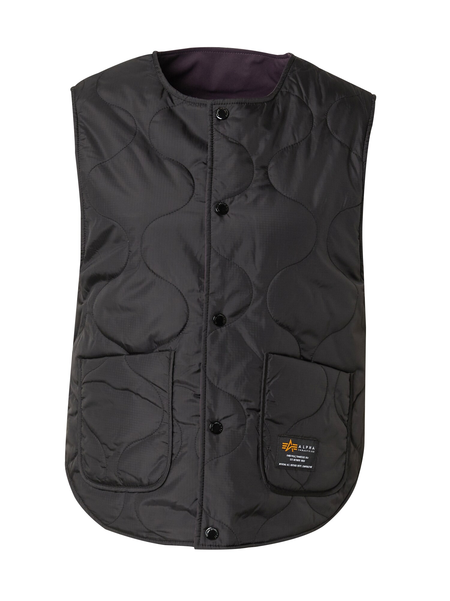 ALPHA INDUSTRIES Vestă  negru