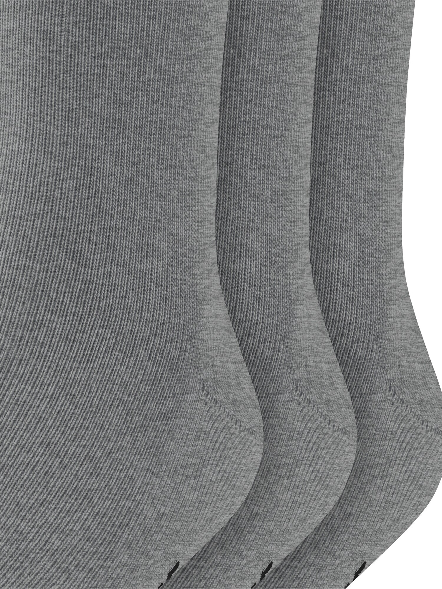 Thumbnail - FALKE Socken Family