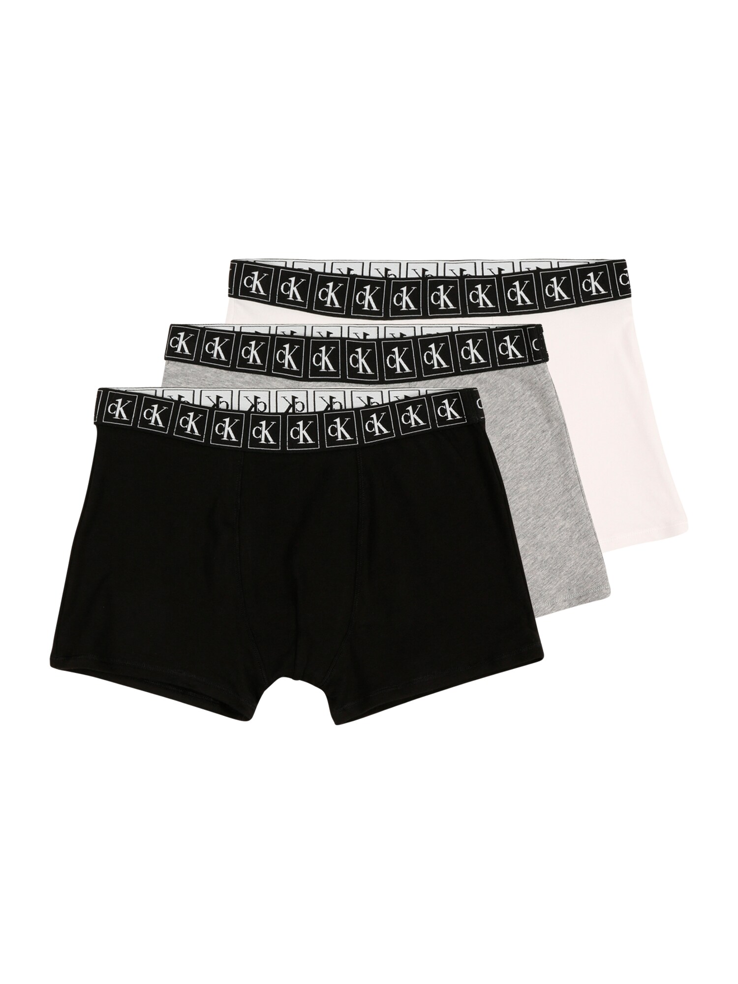 Calvin Klein Underwear Apatinės kelnaitės juoda / pilka / balta / rožių spalva