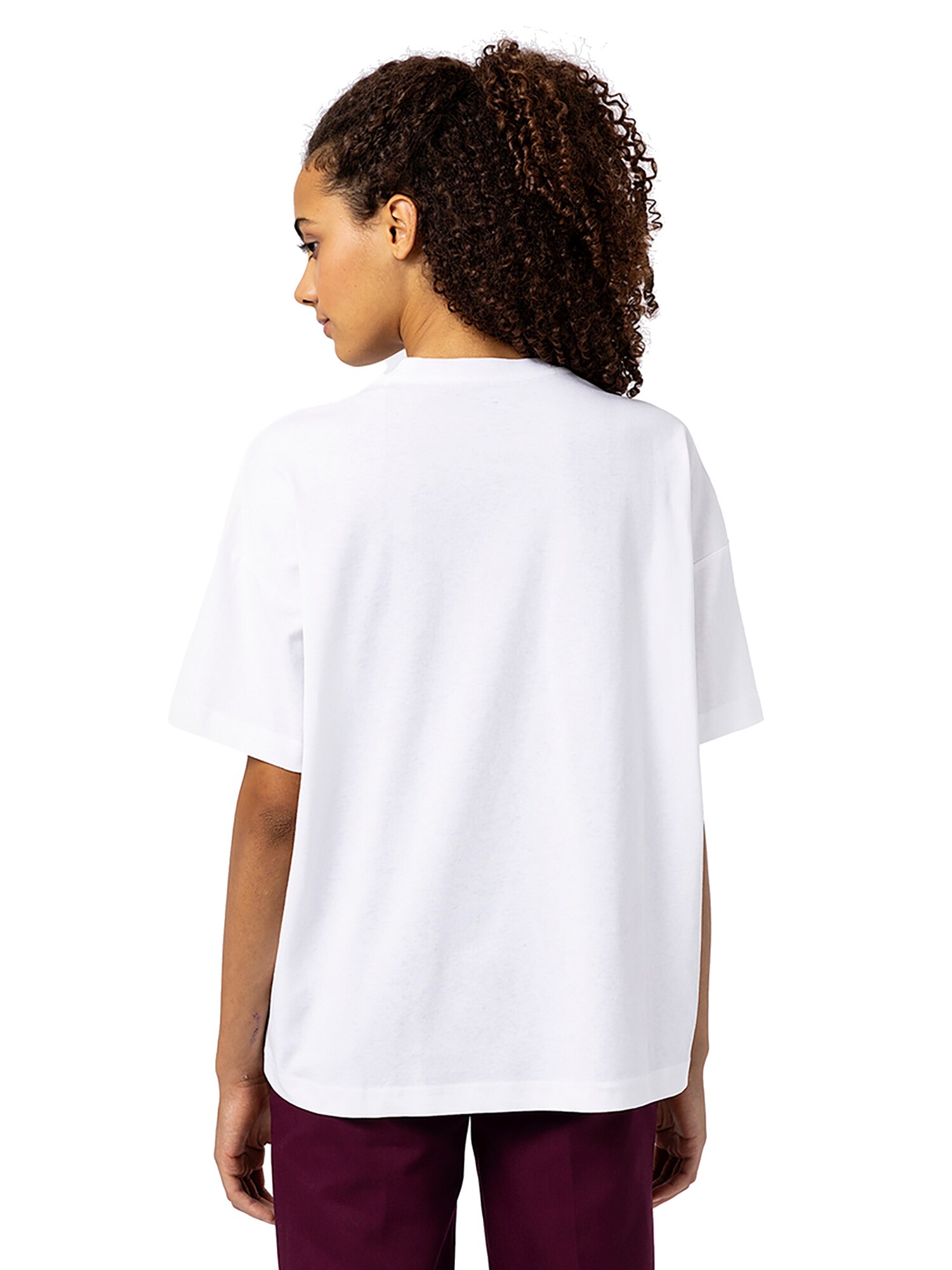 Thumbnail - DICKIES Shirt Summerdale