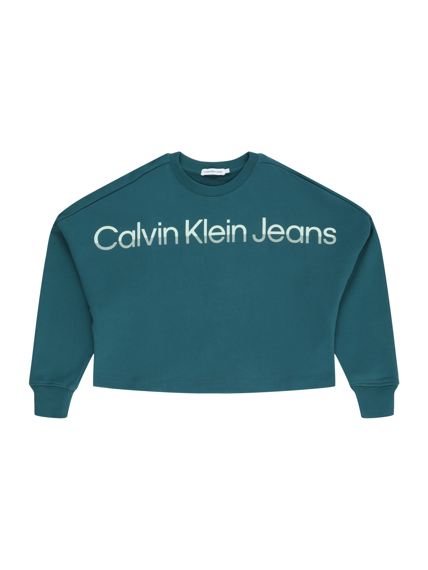 Calvin Klein Jeans Mikina 'HERO'  petrolejová / mätová / nefritová