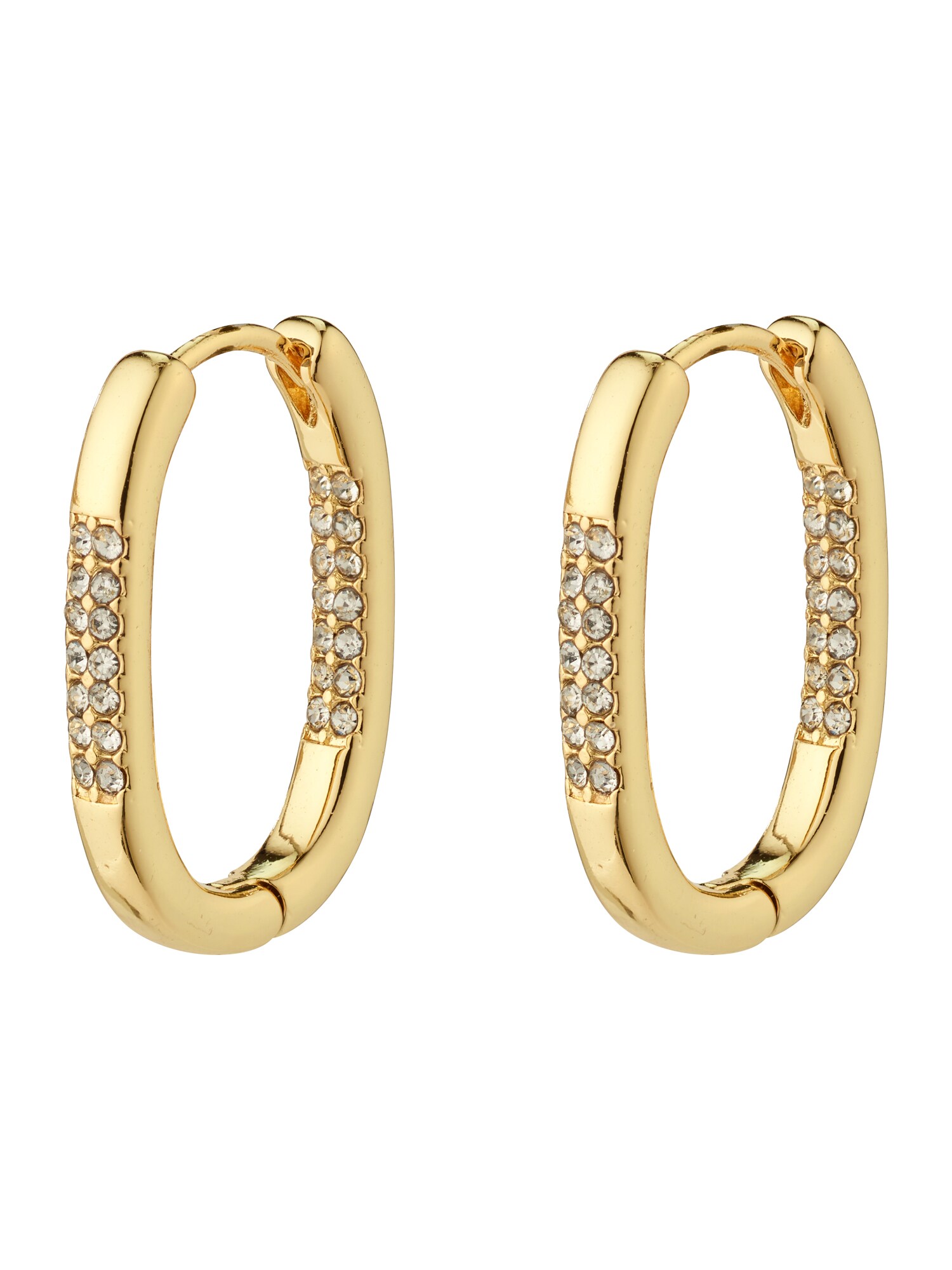 Pilgrim Cercei Star  auriu / transparent