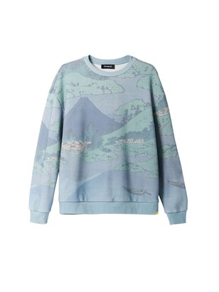 Desigual Sweatshirt Duifblauw / Pastelgroen