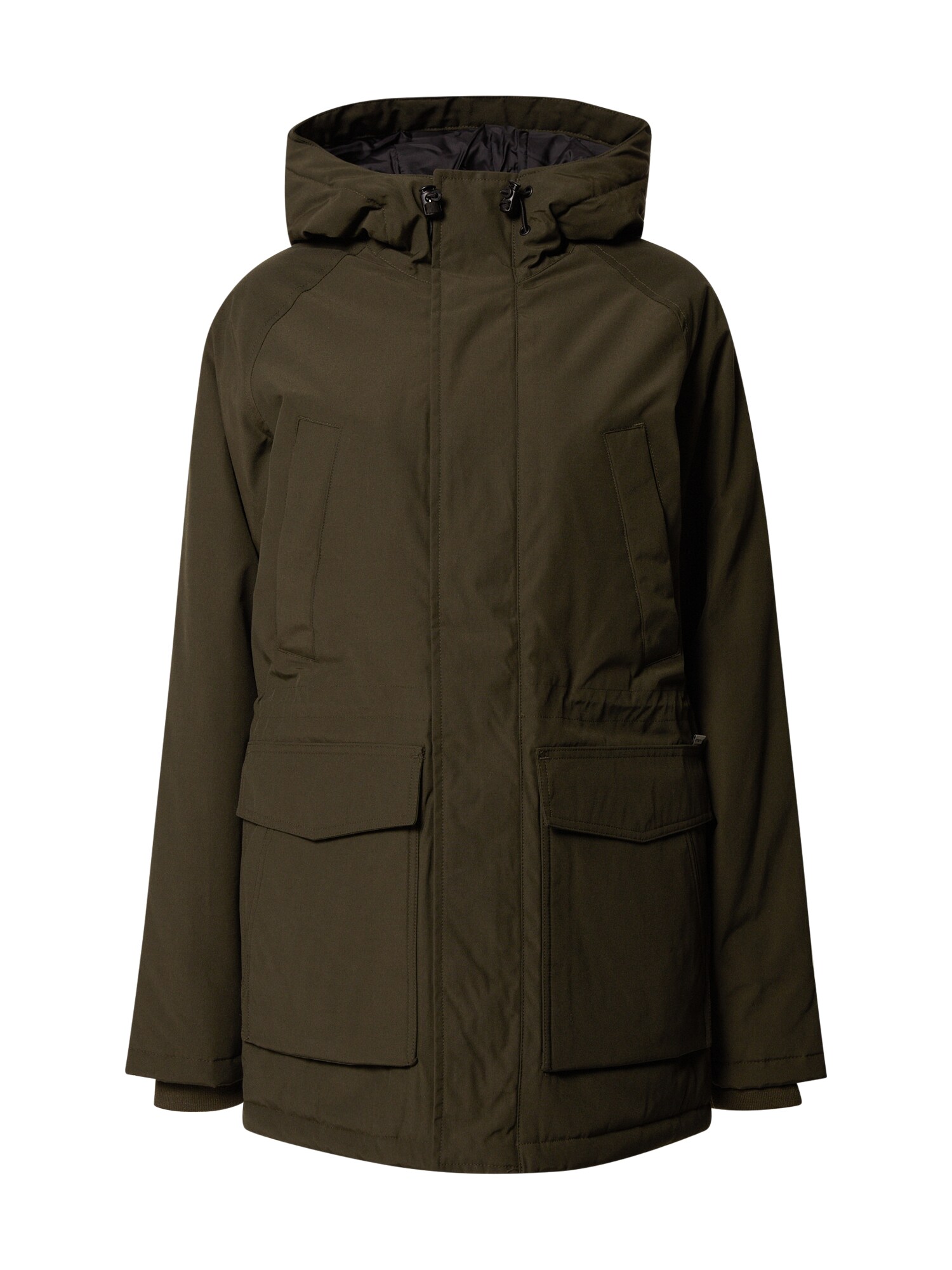 Carhartt WIP Ilga rudeninė-žieminė striukė 'Vail'  rusvai žalia