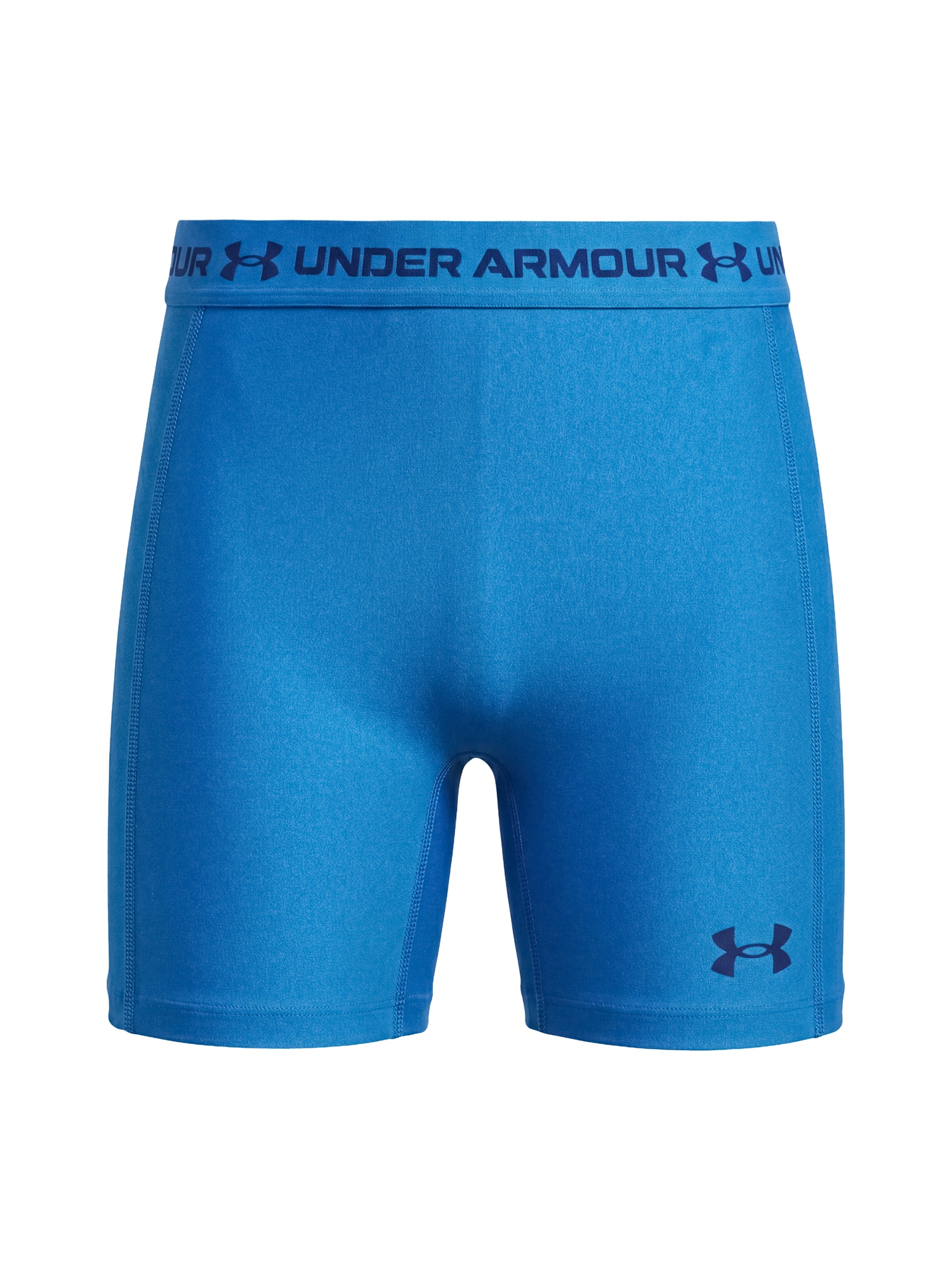 UNDER ARMOUR Pantaloni sport azur