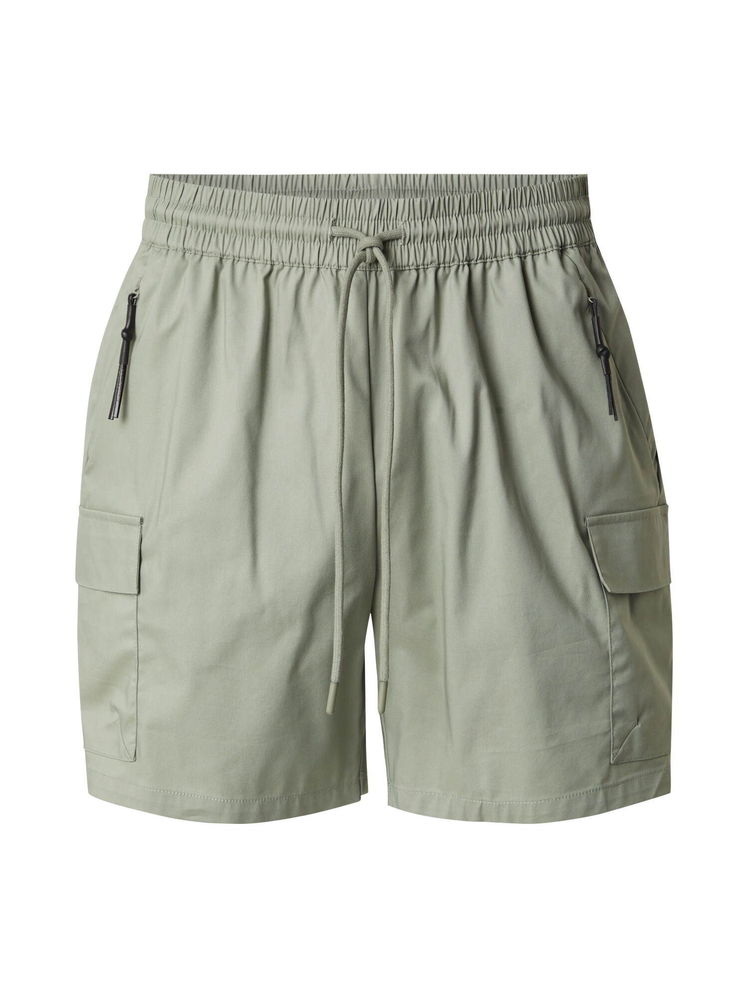 DAN FOX APPAREL Cargo nadrágok 'Marten'  pasztellzöld akciós termékkép 1