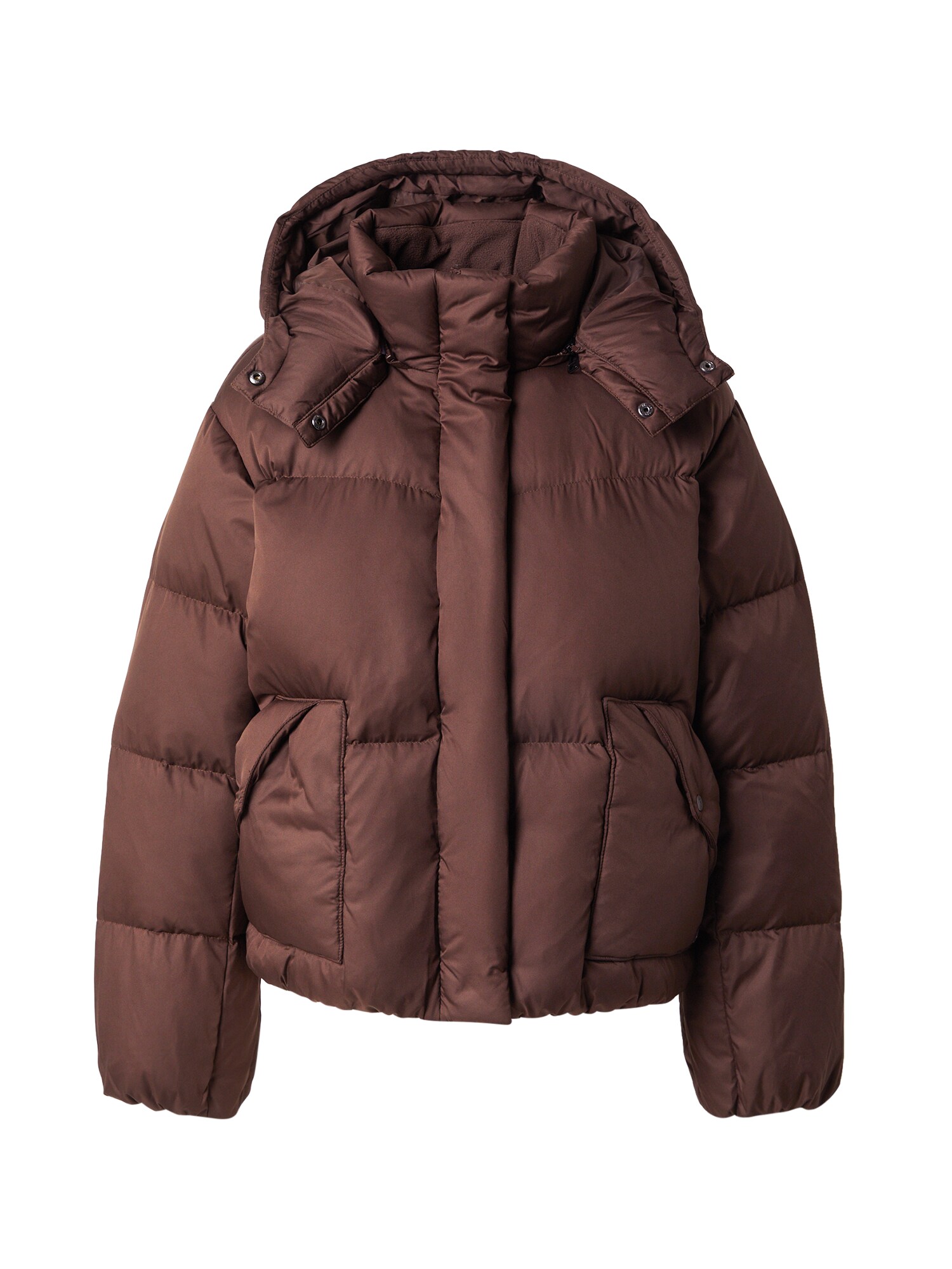 LEVIS ® Geacă de iarnă  maro închis