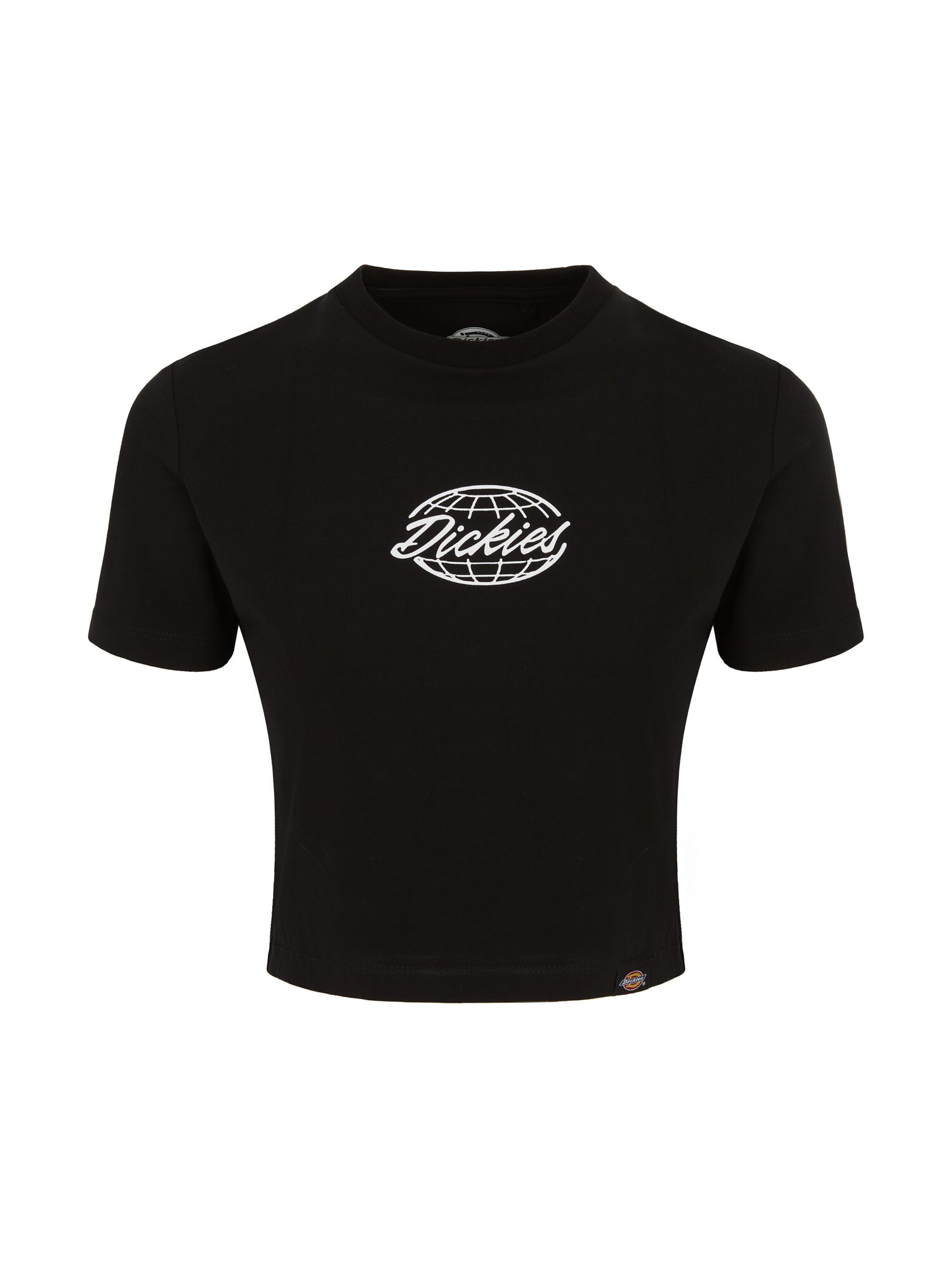 DICKIES Tričko 'GLOBE'  čierna / šedobiela