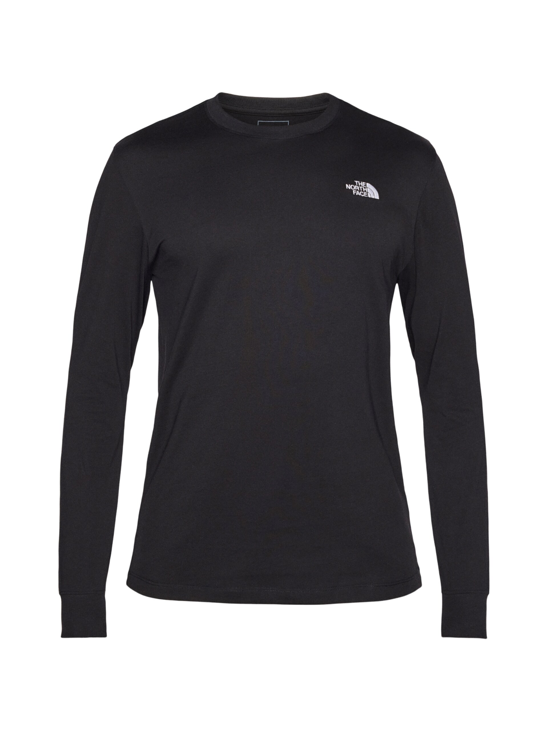 THE NORTH FACE T-shirt 'Evolution Simple Dome' herr