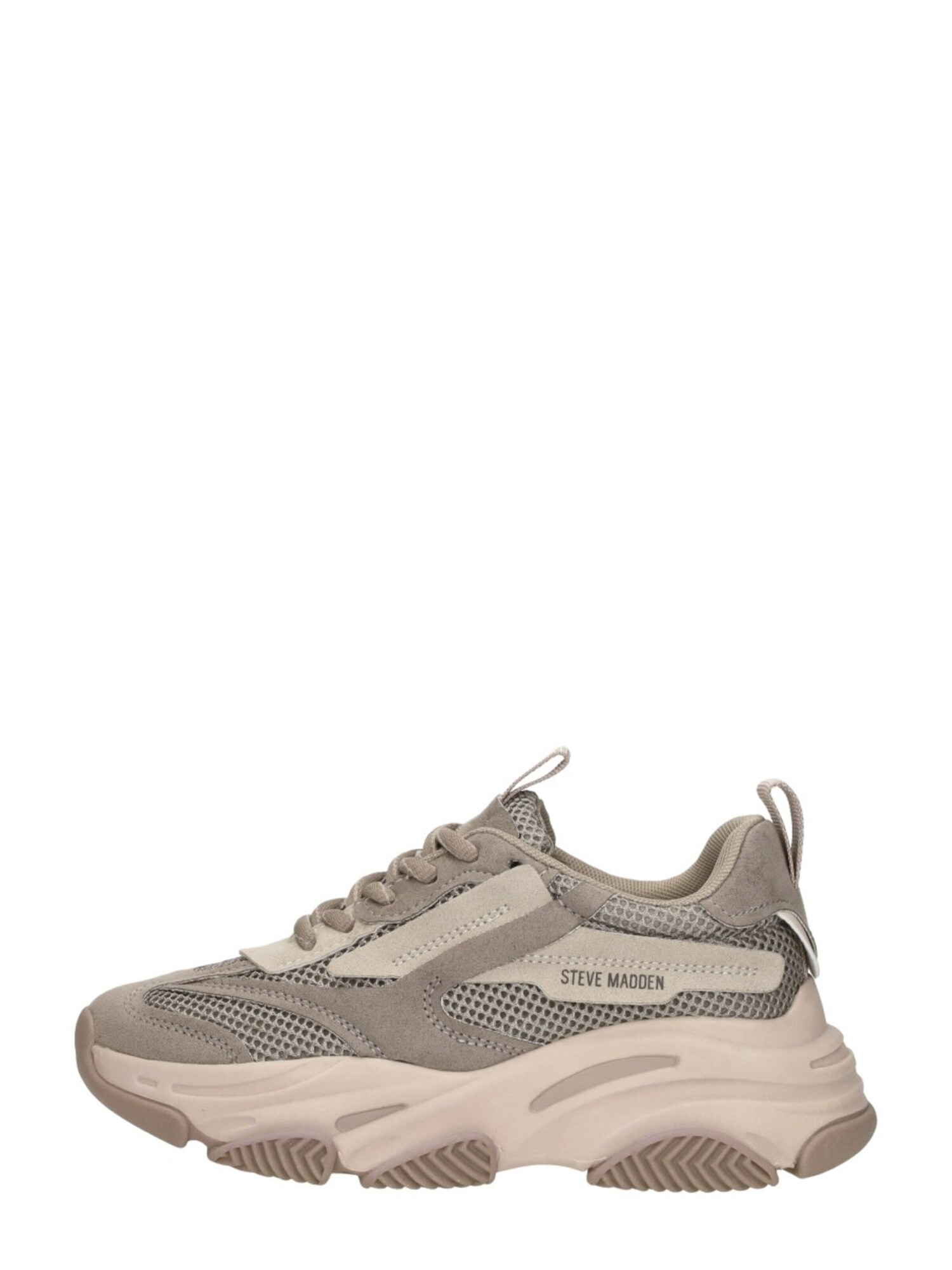 Steve Madden Sneaker Jpossesion