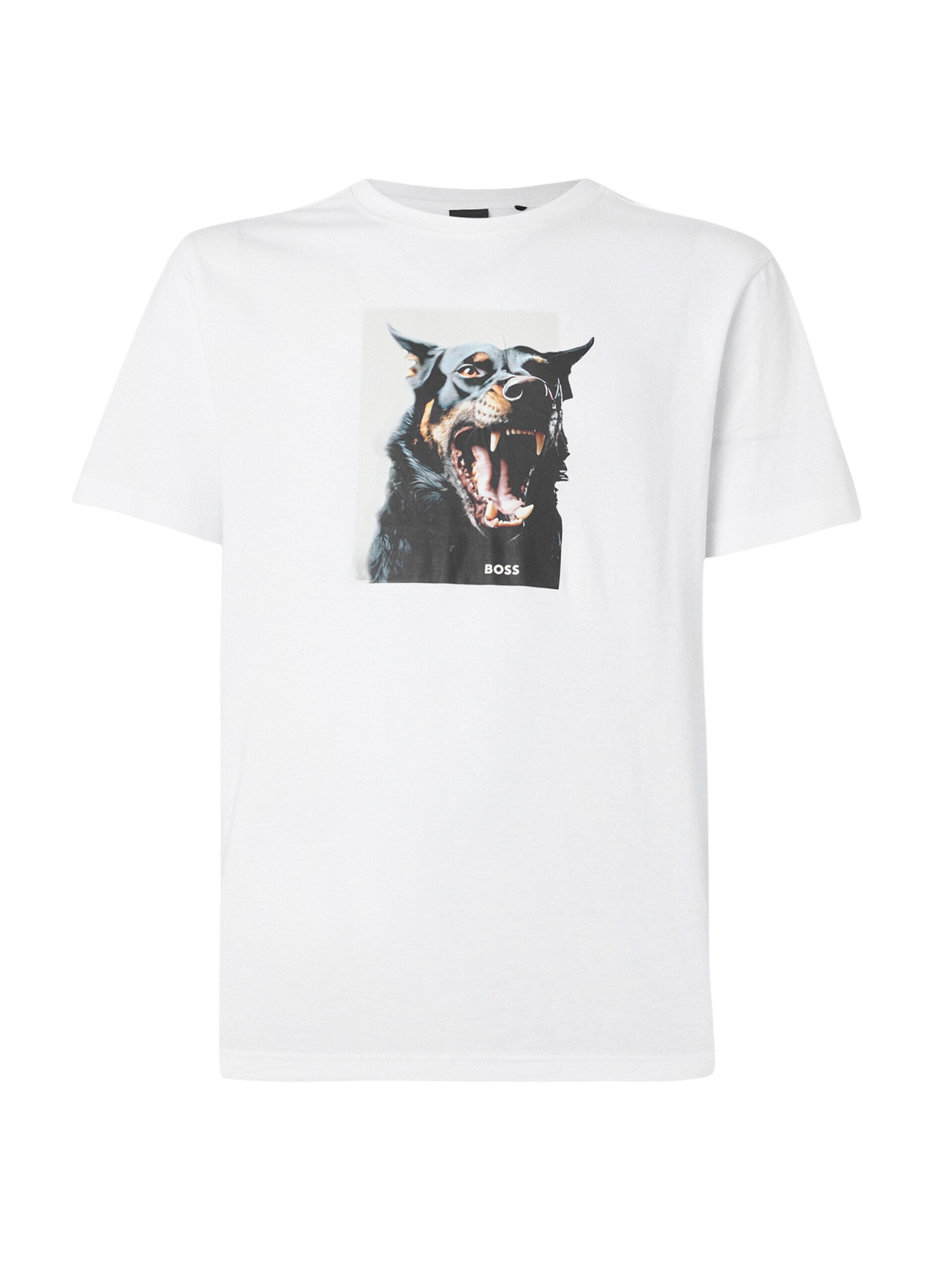 Boss T-shirt 'Dobermann' grå / rosa / svart herr