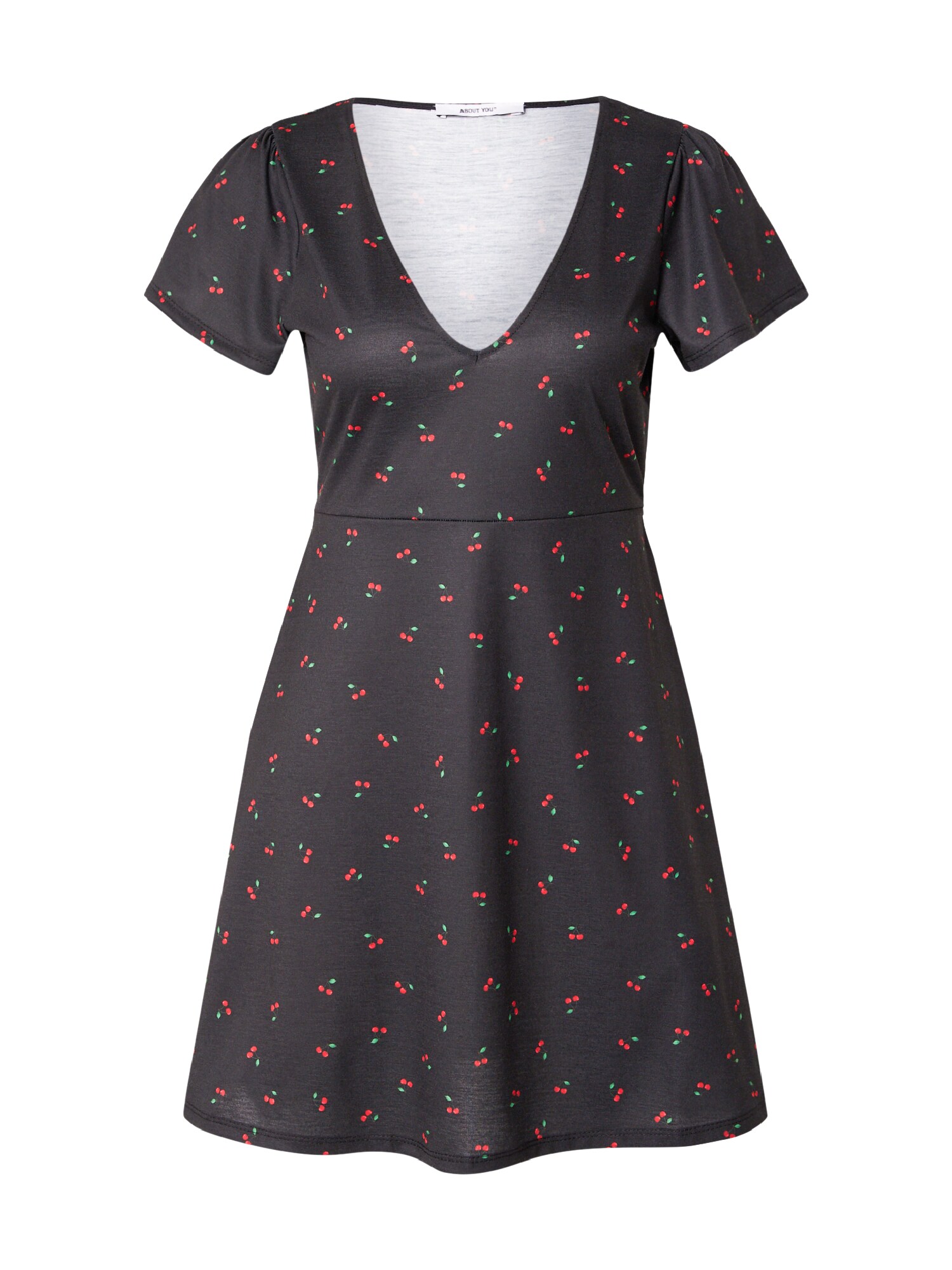 ABOUT YOU Rochie de vară Luisa verde deschis / roșu intens / negru
