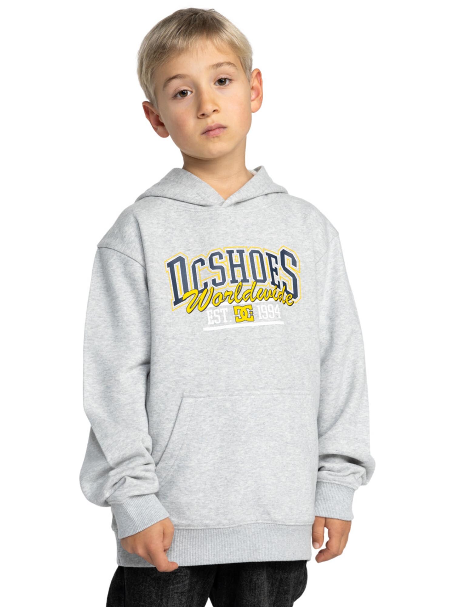 DC Shoes Sport szabadidős felsők 'TAILGATE'  tengerészkék / sárga / világosszürke termék 2. képe