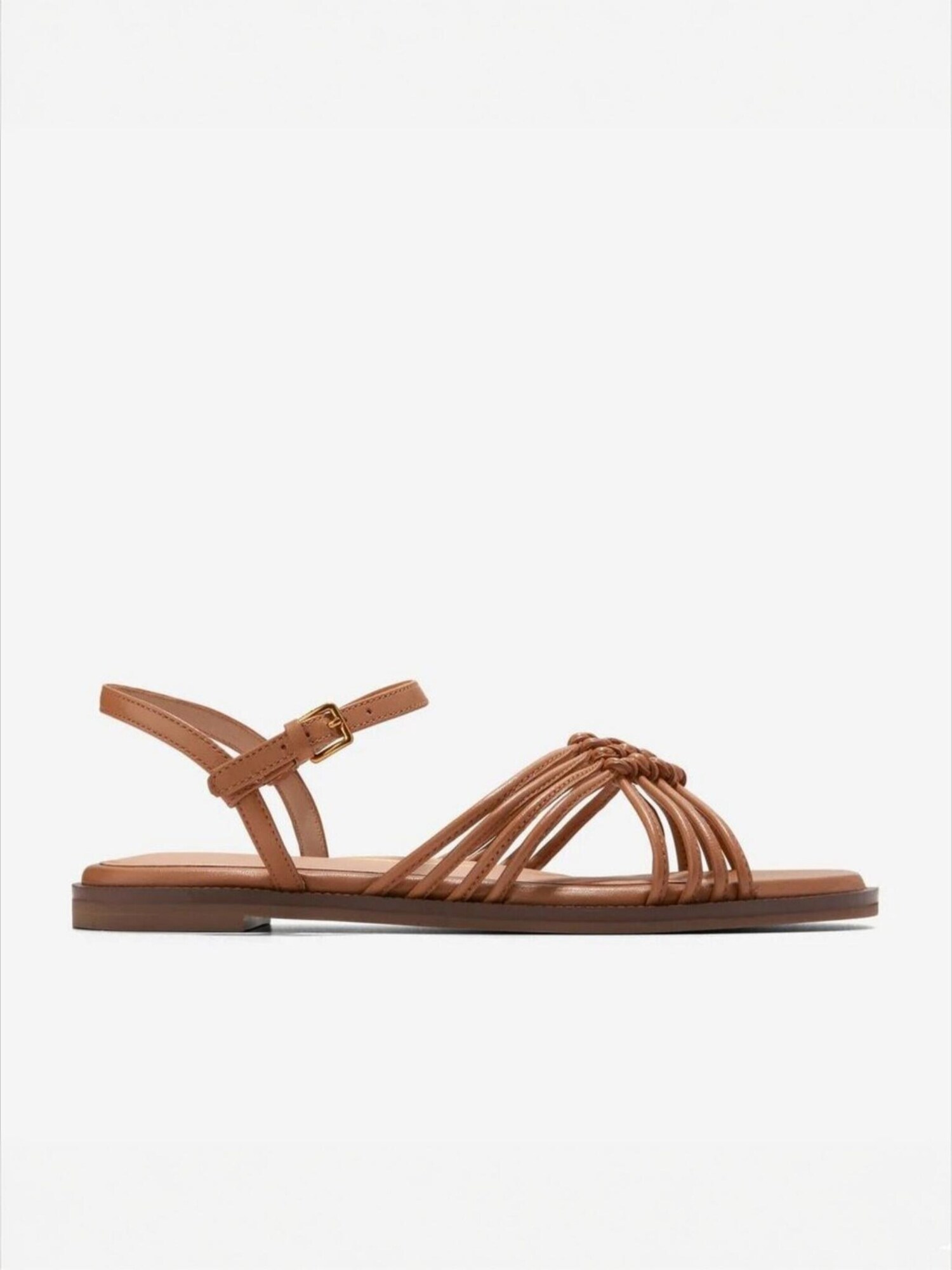Cole Haan Sandalias con hebilla 'JITNEY'  marrón