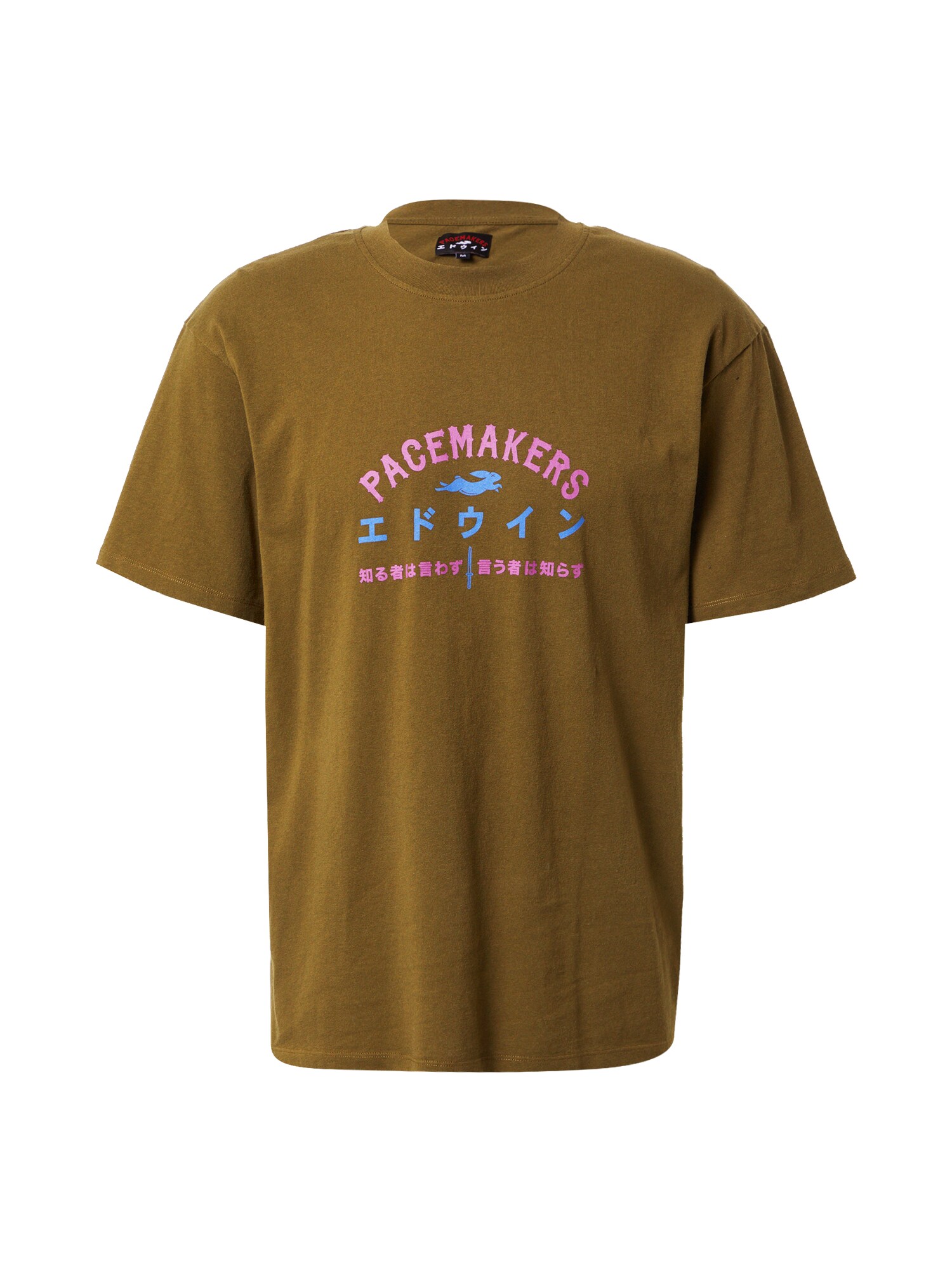 Pacemaker Marškinėliai 'TRUTH T' rusvai žalia / rožinė / dangaus žydra