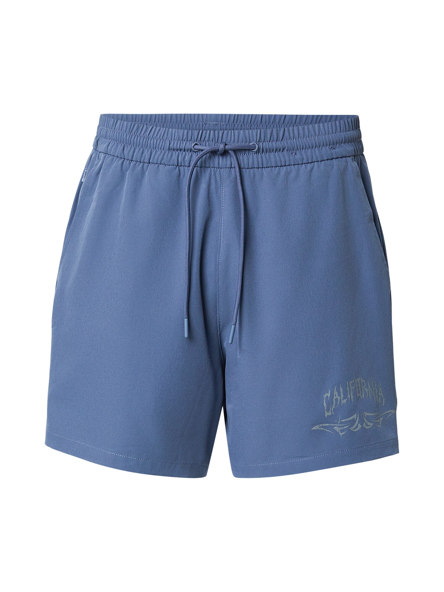 HOLLISTER Pantaloni  gri / albastru violet