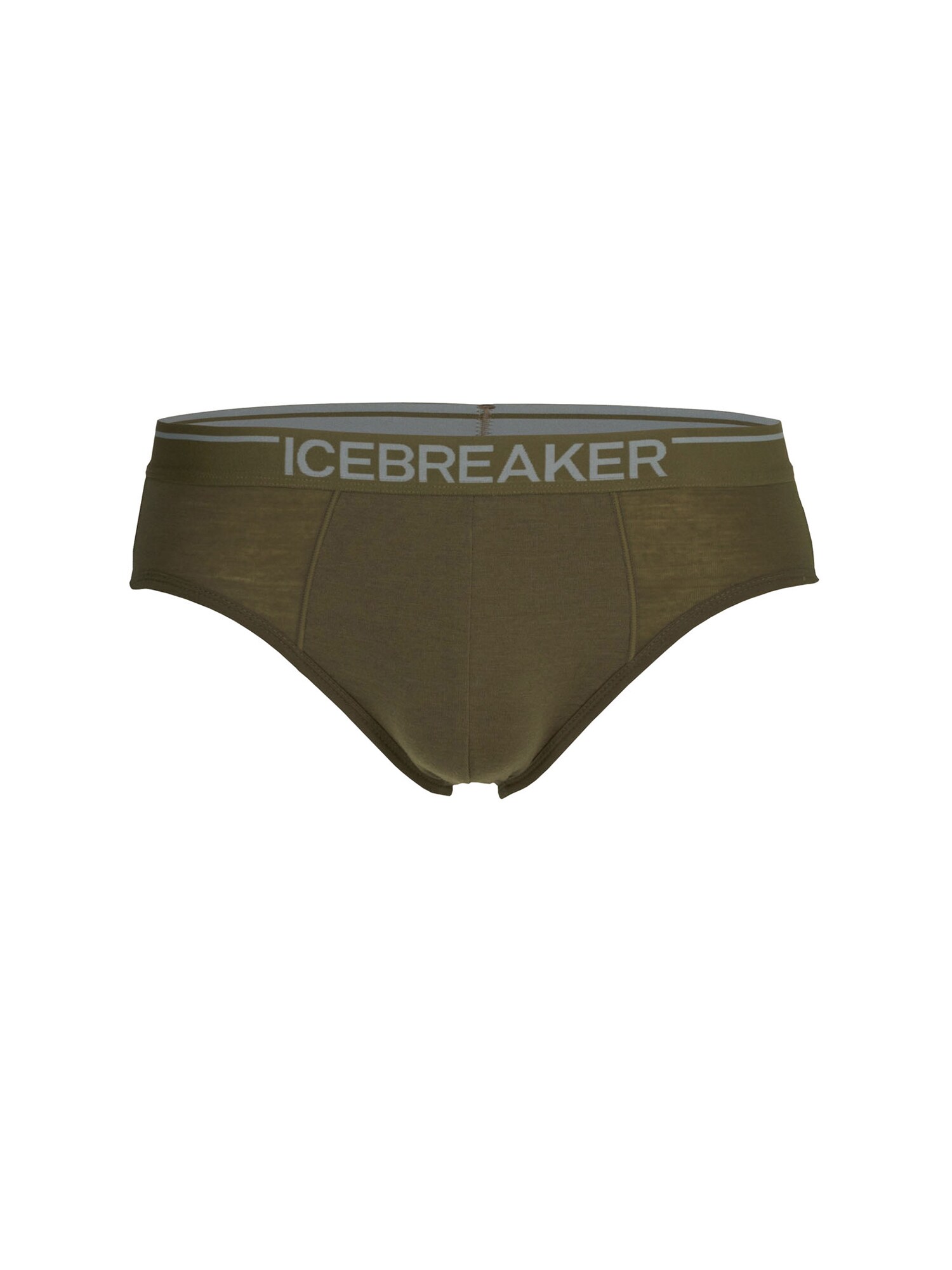 ICEBREAKER Športne spodnjice 'Anatomica'  oliva