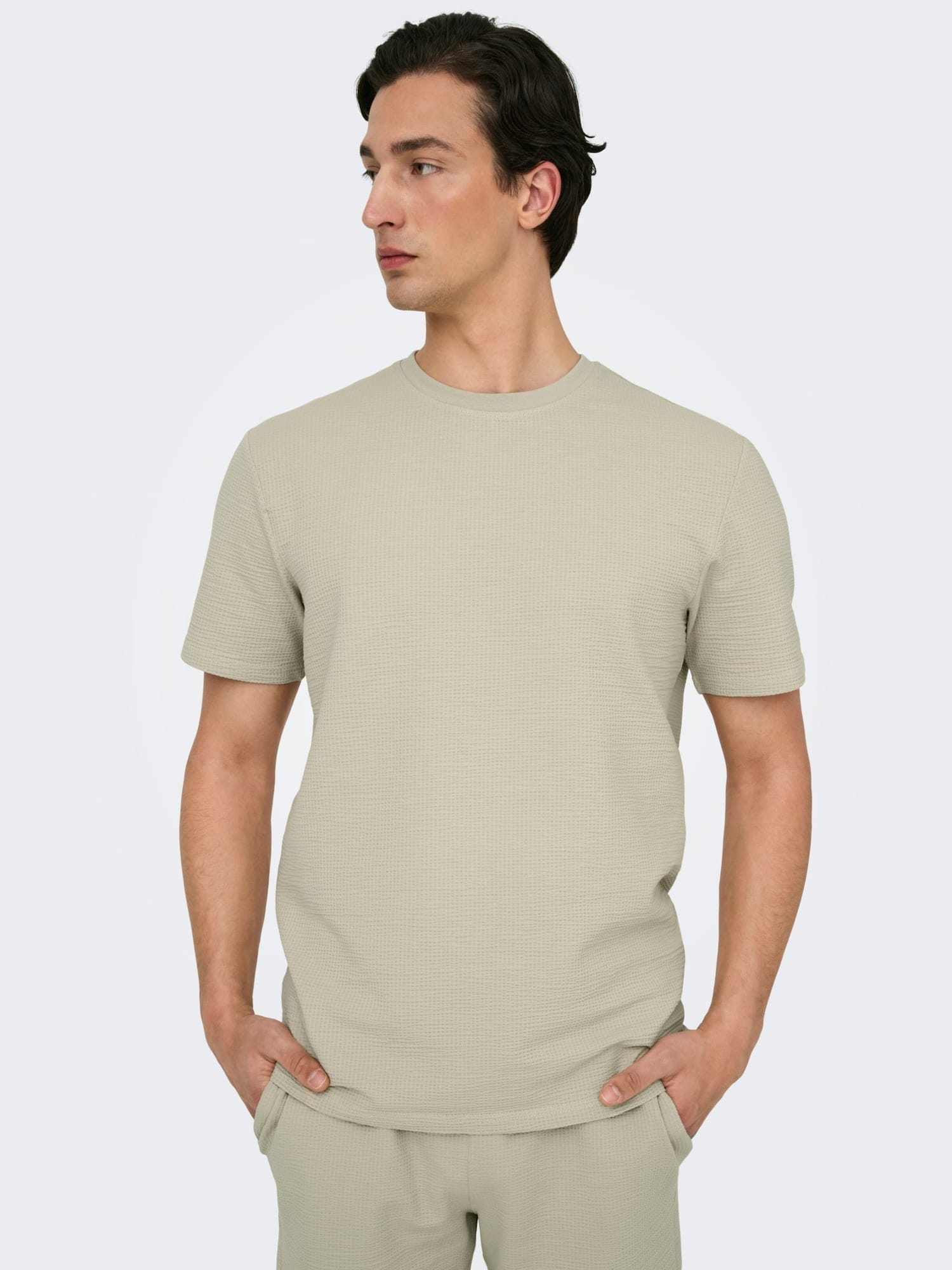 Only & Sons T-Shirt ONSKian