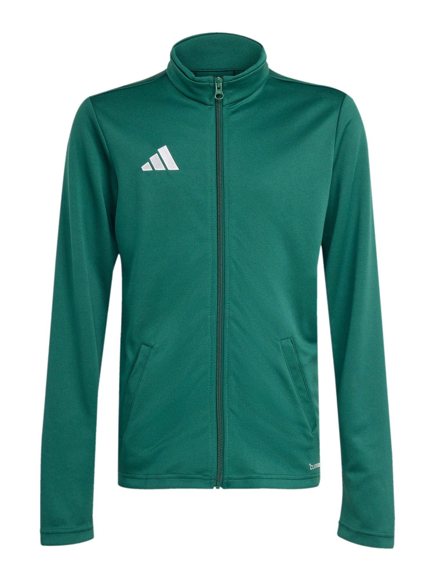 ADIDAS PERFORMANCE Bluză cu fermoar sport ENT26  verde smarald / alb