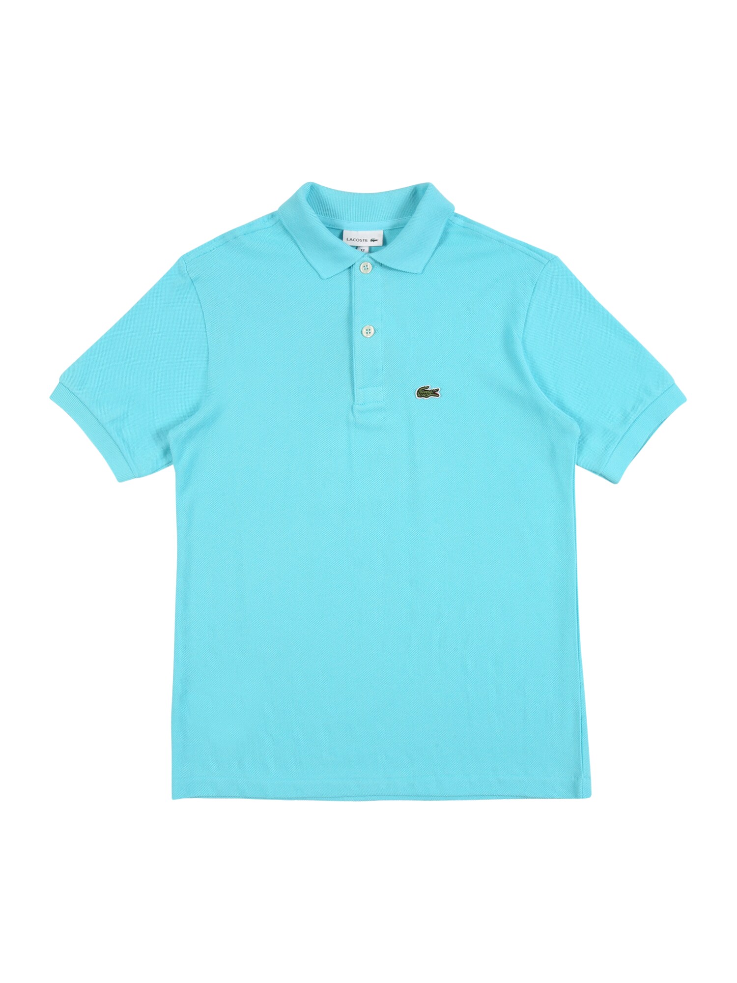 LACOSTE Marškinėliai  turkio spalva / žalia / balta