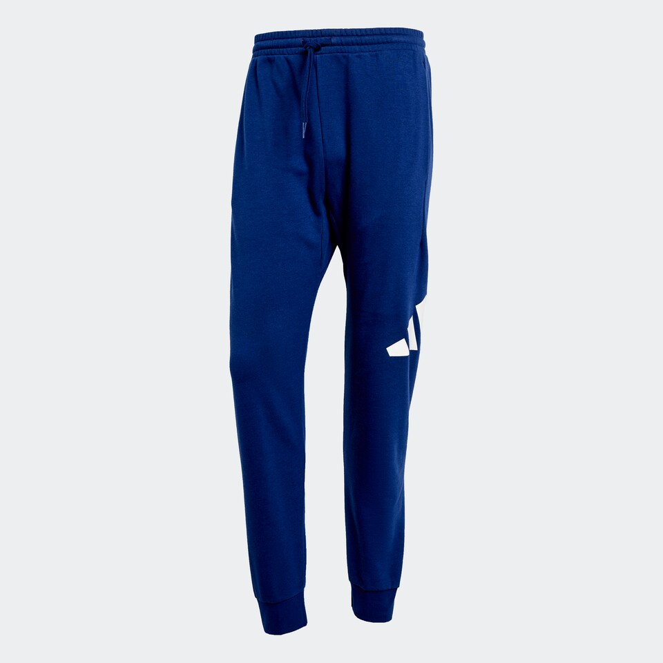 Sportbyxa 'ESSENTIALS BIG LOGO FRENCH TERRY'