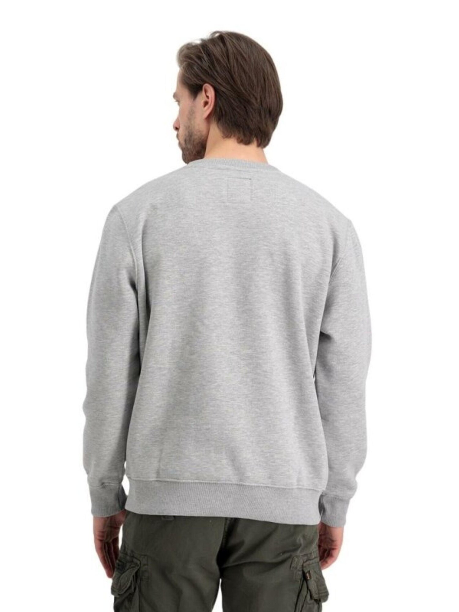 ALPHA INDUSTRIES Sudadera 'Basic Logo'  gris – imagen 4
