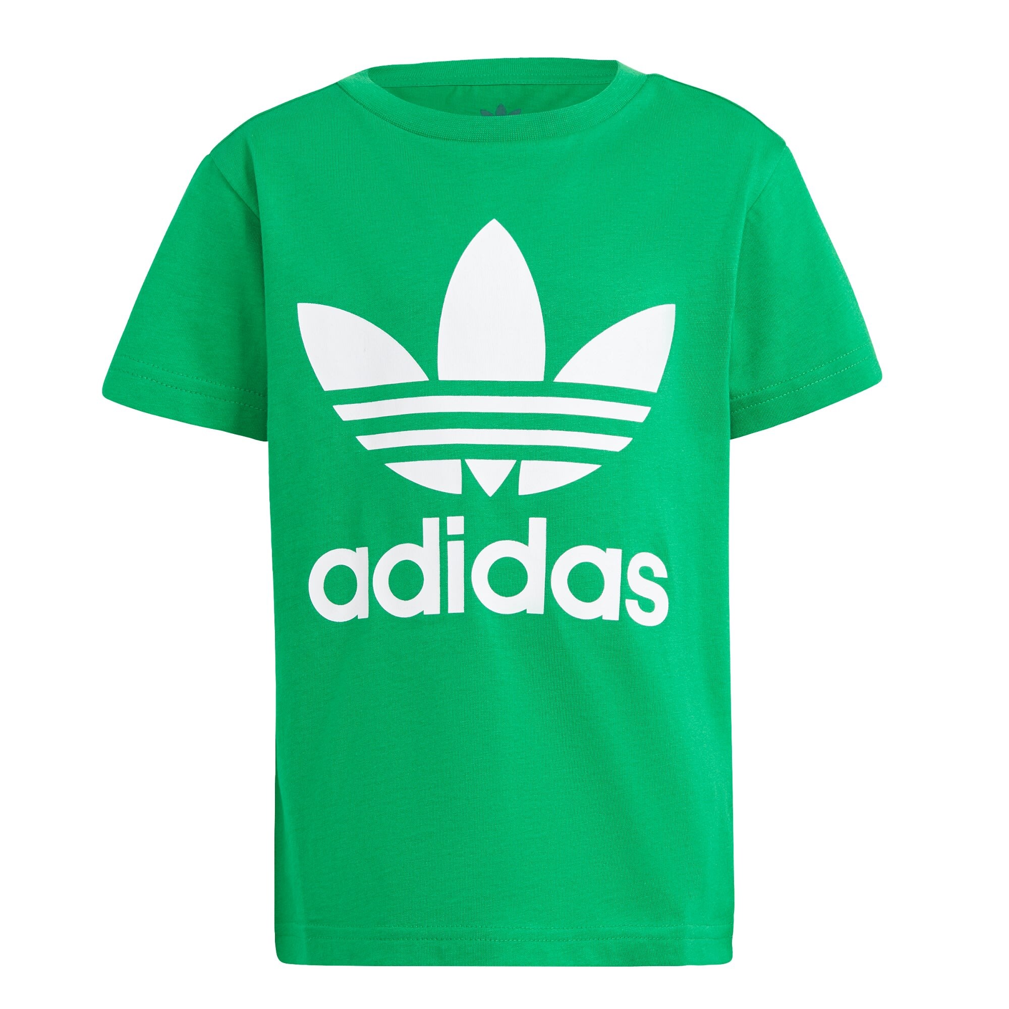 ADIDAS ORIGINALS Marškinėliai 'Adicolor Trefoil' žolės žalia / balta