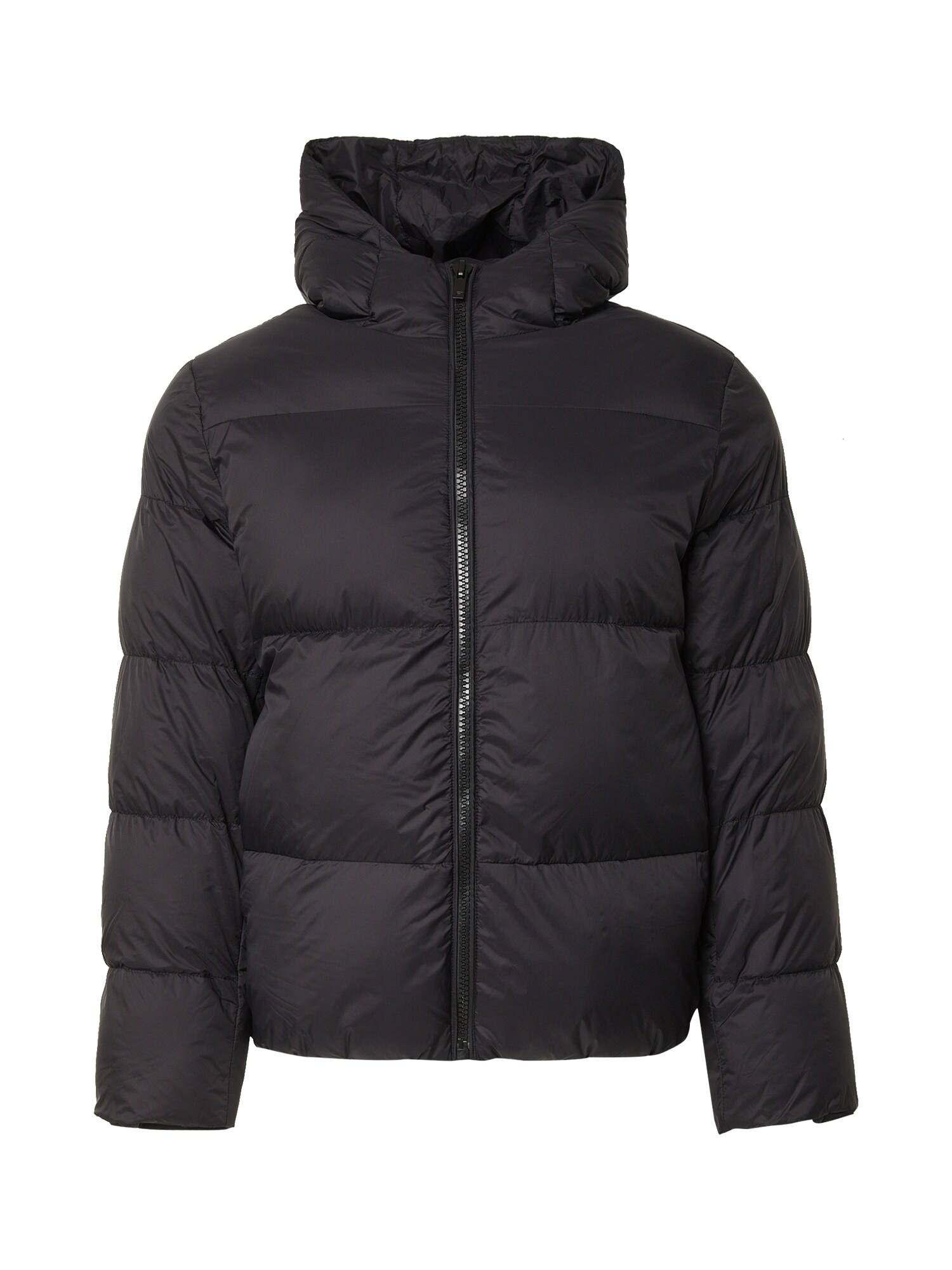 DAN FOX APPAREL Geacă de iarnă John   negru