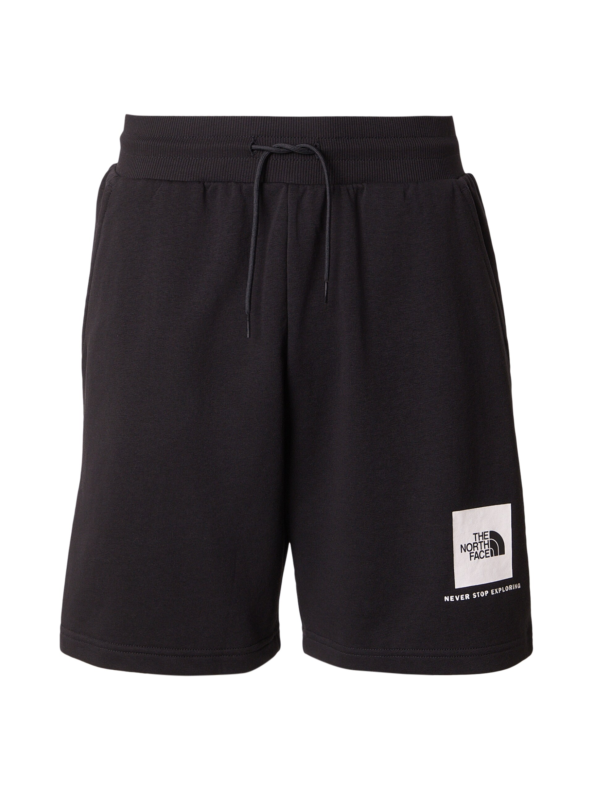 THE NORTH FACE Byxa 'BOX NSE LIGHT' herr